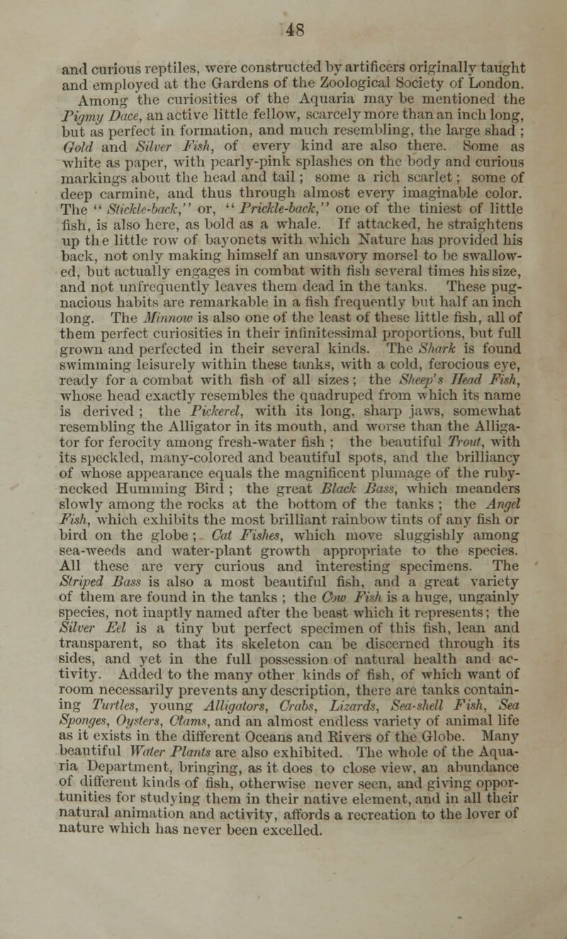 and curious reptiles, were constructed by artificers originally taught and employed at the Gardens of the Zoological Society of London. Among the curiosities of the Aquaria may be mentioned the Pigmy Dace, an active little fellow, scarcely more than an inch long, but as perfect in formation, and much resembling, the large shad ; Gold and Silver Fish, of every kind arc also there. Some as white as paper, with pearly-pink splashes on the body and curious markings about the head and tail; some a rich scarlet; some of deep carmine, and thus through almost every imaginable color. The '' Stickle-back, or,  Prickle-back,'' one of the tiniest of little fish, is also here, as bold as a whale. If attacked, he straightens up the little row of bayonets with which Nature has provided his back, not only making himself an unsavory morsel to be swallow- ed, but actually engages in combat with fish several times his size, and not unfrequently leaves them dead in the tanks. These pug- nacious habits are remarkable in a fish frequently but half an inch long. The Minnow is also one of the least of these little fish, all of them perfect curiosities in their iniinitcssimal proportions, but full grown and perfected in their several kinds. The Shark is found swimming leisurely within these tanks, with a cold, ferocious eye, ready for a combat with fish of all sizes; the Sheep's Head Fish, whose head exactly resembles the quadruped from which its name is derived ; the Pickerel, with its long, sharp jaws, somewhat resembling the Alligator in its mouth, and worse than the Alliga- tor for ferocity among fresh-water fish ; the beautiful Trout, with its speckled, many-colored and beautiful spots, and the brilliancy of whose appearance equals the magnificent plumage of the ruby- necked Humming Bird ; the great Black Bass, which meanders slowly among the rocks at the bottom of the tanks ; the Angel Fish, which exhibits the most brilliant rainbow tints of any fish or bird on the globe; Cat Fishes, which move sluggishly among sea-weeds and water-plant growth appropriate to the species. All these are very curious and interesting specimens. The Striped Bass is also a most beautiful fish, and a great variety of them are found in the tanks ; the Cow Fish is a huge, ungainly species, not inaptly named after the beast which it represents; the Silver Eel is a tiny but perfect specimen of this fish, lean and transparent, so that its skeleton can be discerned through its sides, and yet in the full possession of natural health and ac- tivity. Added to the many other kinds of fish, of which want of room necessarily prevents any description, there are tanks contain- ing Turtles, young Alligators, Crabs, Lizards, Sea-shell Fish, Sea Sponges, Oysters, Clams, and an almost endless variety of animal life as it exists in the different Oceans and Rivers of the Globe. Many beautiful Water Plants are also exhibited. The whole of the Aqua- ria Department, bringing, as it does to close view, an abundance of different kinds of fish, otherwise never seen, and giving oppor- tunities for studying them in their native element, and in all their natural animation and activity, affords a recreation to the lover of nature which has never been excelled.