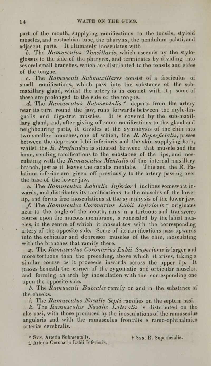 part of the mouth, supplying ramifications to the tonsils, styloid muscles, and eustachian tube, the pharynx, the pendulum palali, atul adjacent parts. It ultimately inosculates with b. The Ramusculus Tonsillaris, which ascends by the stylo- glossus to the side of the pharynx, and terminates by dividing into several small branches, which are distributed to the tonsils and sides of the tongue. c. The Ramusculi Submaxillares consist of a fasciculus of small ramifications, which pass into the substance of the sub- maxillary gland, whilst the artery is in contact with it ; some of these are prolonged to the side of the tongue. d. The Ramusculus Submentalis * departs from the artery near its turn round the jaw, runs forwards between the mylo-lin- gualis and digastric muscles. It is covered by the sub-maxil- lary gland, and, after giving off some ramifications to the gland and neighbouring parts, it divides at the symphysis of the chin into two smaller branches, one of which, the R. SuperJicialisf passes between the depressor labii inferioris and the skin supplying both, whilst the R. Profundus is situated between that muscle and the bone, sending ramifications to the substance of the lips, and inos- culating with the Ramusculus Mentalis of the internal maxillary branch, just as it leaves the canalis mentalis. This and the R. Pa- latinus inferior are given off previously to the artery passing over the base of the lower jaw. e. The Ramusculus Labialis Inferior t inclines somewhat in- wards, and distributes its ramifications to the muscles of the lower lip, and forms free inosculations at the symphysis of the lower jaw. f. The Ramusculus Coronarius Labii Inferioris % originates near to the angle of the mouth, runs in a tortuous and transverse course upon the mucous membrane, is concealed by the labial mus- cles, in the centre of which it inosculates with the corresponding artery of the opposite side. Some of its ramifications pass upwards into the orbicular and depressor muscles of the chin, inosculating with the branches that ramify there. g. The Ramusculus Coronarius Labii Superioris is larger and more tortuous than the preceding, above which it arises, taking a similar course as it proceeds inwards across the upper lip. It passes beneath the corner of the zygomatic and orbicular muscles, and forming an arch by inosculation with the corresponding one upon the opposite side. h. The Rarnusculi Buccales ramify on and in the substance of the cheeks. i. The Ramusculus Nasalis Septi ramifies on the septum nasi. k. The Ramusculus Nasalis Lateralis is distributed on the alas nasi, with those produced by the inosculations of the ramusculus angularis and with the ramusculus frontalis e ramo-ophthalmico arterise cerebralis. * Svn. Arteria Submentalis. f Syn. R. Superficialis. \ Arteria Coronaria Labii Inferioris.