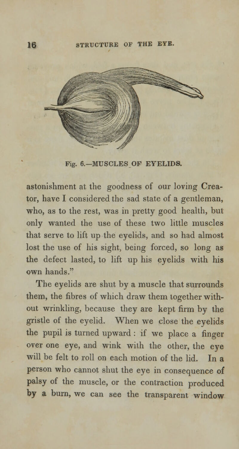 Pig. 6.—MUSCLES OF EYELIDS. astonishment at the goodness of our loving Crea- tor, have I considered the sad state of a gentleman, who, as to the rest, was in pretty good health, but only wanted the use of these two little muscles that serve to lift up the eyelids, and so had almost lost the use of his sight, being forced, so long as the defect lasted, to lift up his eyelids with his own hands. The eyelids are shut by a muscle that surrounds them, the fibres of which draw them together with- out wrinkling, because they are kept firm by the gristle of the eyelid. When we close the eyelids the pupil is turned upward : if we place a finger over one eye, and wink with the other, the eye will be felt to roll on each motion of the lid. In a person who cannot shut the eye in consequence of palsy of the muscle, or the contraction produced by a burn, we can see the transparent window