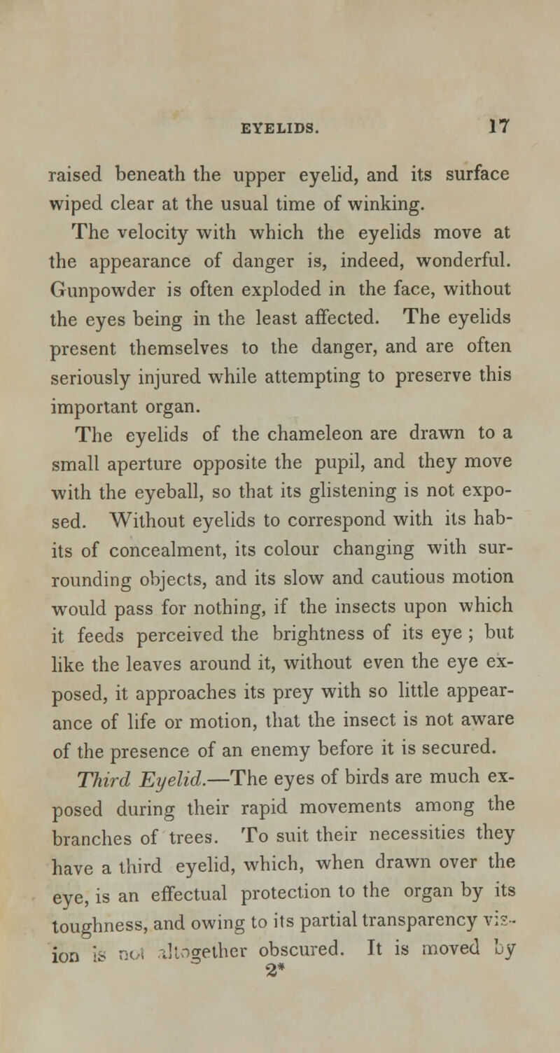 raised beneath the upper eyelid, and its surface wiped clear at the usual time of winking. The velocity with which the eyelids move at the appearance of danger is, indeed, wonderful. Gunpowder is often exploded in the face, without the eyes being in the least affected. The eyelids present themselves to the danger, and are often seriously injured while attempting to preserve this important organ. The eyelids of the chameleon are drawn to a small aperture opposite the pupil, and they move with the eyeball, so that its glistening is not expo- sed. Without eyelids to correspond with its hab- its of concealment, its colour changing with sur- rounding objects, and its slow and cautious motion would pass for nothing, if the insects upon which it feeds perceived the brightness of its eye ; but like the leaves around it, without even the eye ex- posed, it approaches its prey with so little appear- ance of life or motion, that the insect is not aware of the presence of an enemy before it is secured. Third Eyelid.—The eyes of birds are much ex- posed during their rapid movements among the branches of trees. To suit their necessities they have a third eyelid, which, when drawn over the eye, is an effectual protection to the organ by its toughness, and owing to its partial transparency vis- ion is no! altogether obscured. It is moved by