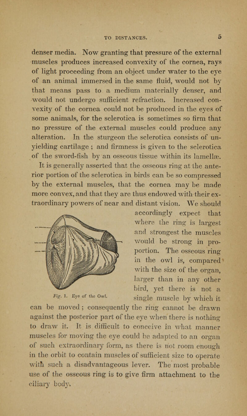 denser media. Now granting that pressure of the external muscles produces increased convexity of the cornea, rays of light proceeding from an object under water to the eye of an animal immersed in the same fluid, would not by that means pass to a medium materially denser, and would not undergo sufficient refraction. Increased con- vexity of the cornea could not be produced in the eyes of some animals, for the sclerotica is sometimes so firm that no pressure of the external muscles could produce any alteration. In the sturgeon the sclerotica consists of un- yielding cartilage ; and firmness is given to the sclerotica of the sword-fish by an osseous tissue within its lamellas. It is generally asserted that the osseous ring at the ante- rior portion of the sclerotica in birds can be so compressed by the external muscles, that the cornea may be made more convex, and that they are thus endowed with their ex- traordinary powers of near and distant vision. We should accordingly expect that where the ring is largest and strongest the muscles would be strong in pro- portion. The osseous ring in the owl is, compared'- with the size of the organ, larger than in any other bird, yet there is not a Eye of the Owl. sing.}e muscle j)y which it can be moved ; consequently the ring cannot be drawn against the posterior part of the eye when there is nothing to draw it. It is difficult to conceive in what manner muscles for moving the eye could be adapted to an organ of such extraordinary form, as there is not room enough in the orbit to contain muscles of sufficient size to operate with such a disadvantageous lever. The most probable use of the osseous ring is to give firm attachment to the ciliary body.