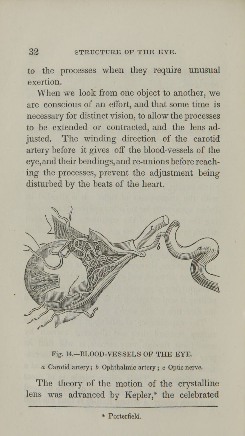 to the processes when they require unusual exertion. When we look from one object to another, we are conscious of an effort, and that some time is necessary for distinct vision, to allow the processes to be extended or contracted, and the lens ad- justed. The winding direction of the carotid artery before it gives off the blood-vessels of the eye, and their bendings, and re-unions before reach- ing the processes, prevent the adjustment being disturbed by the beats of the heart. Fig. 14.—BLOOD-VESSELS OF THE EYE. a Carotid artery; b Ophthalmic artery; c Optic nerve. The theory of the motion of the crystalline lens was advanced by Kepler,* the celebrated * Porterfield.