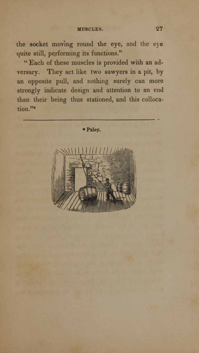 the socket moving round the eye, and the eye quite still, performing its functions.  Each of these muscles is provided with an ad- versary. They act like two sawyers in a pit, by an opposite pull, and nothing surely can more strongly indicate design and attention to an end than their being thus stationed, and this colloca- tion.* • Paley. *x\miiii//-/////fHfc