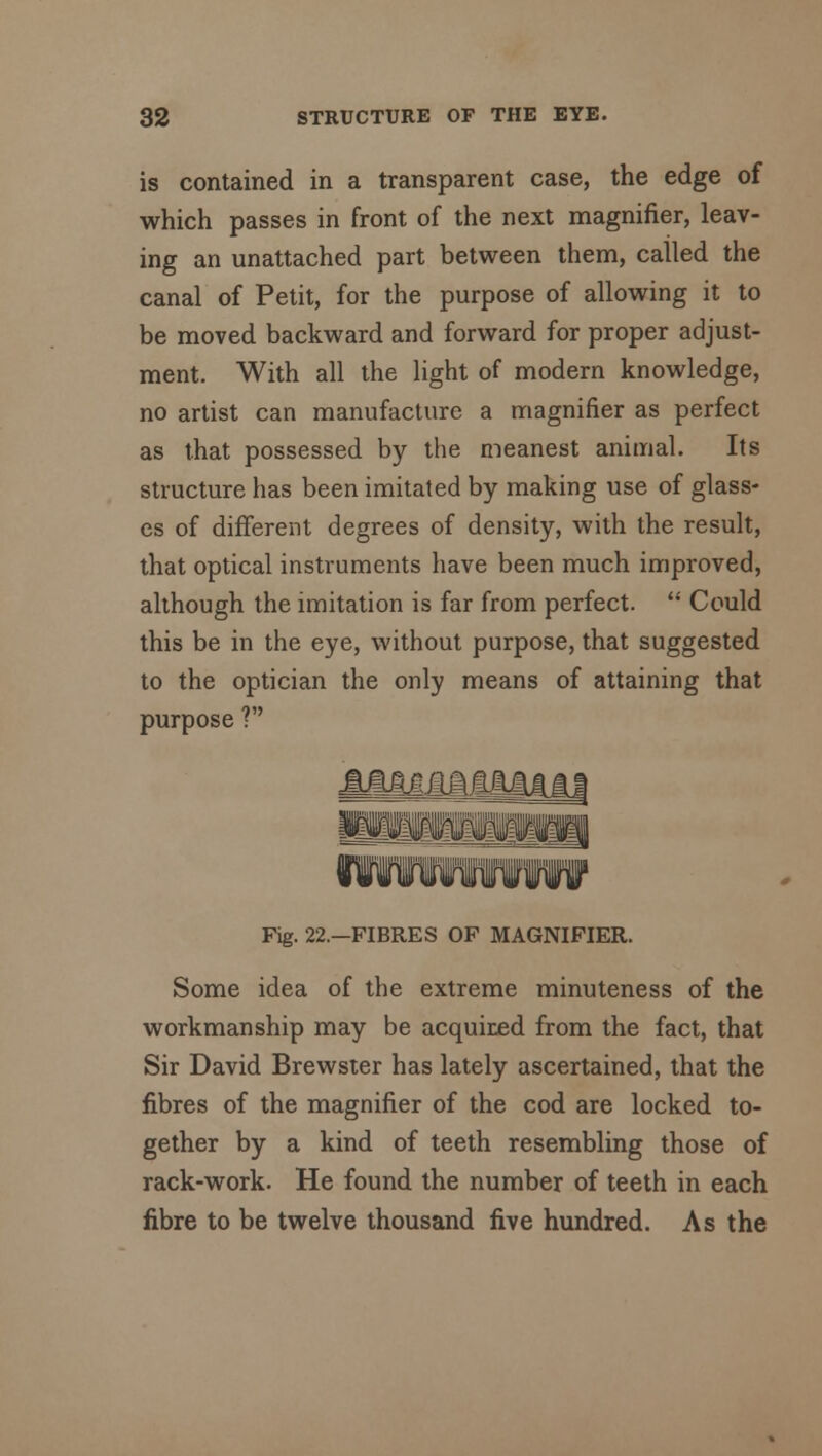 is contained in a transparent case, the edge of which passes in front of the next magnifier, leav- ing an unattached part between them, called the canal of Petit, for the purpose of allowing it to be moved backward and forward for proper adjust- ment. With all the light of modern knowledge, no artist can manufacture a magnifier as perfect as that possessed by the meanest animal. Its structure has been imitated by making use of glass- es of different degrees of density, with the result, that optical instruments have been much improved, although the imitation is far from perfect.  Could this be in the eye, without purpose, that suggested to the optician the only means of attaining that purpose ? Fig. 22.—FIBRES OF MAGNIFIER. Some idea of the extreme minuteness of the workmanship may be acquired from the fact, that Sir David Brewster has lately ascertained, that the fibres of the magnifier of the cod are locked to- gether by a kind of teeth resembling those of rack-work. He found the number of teeth in each fibre to be twelve thousand five hundred. As the