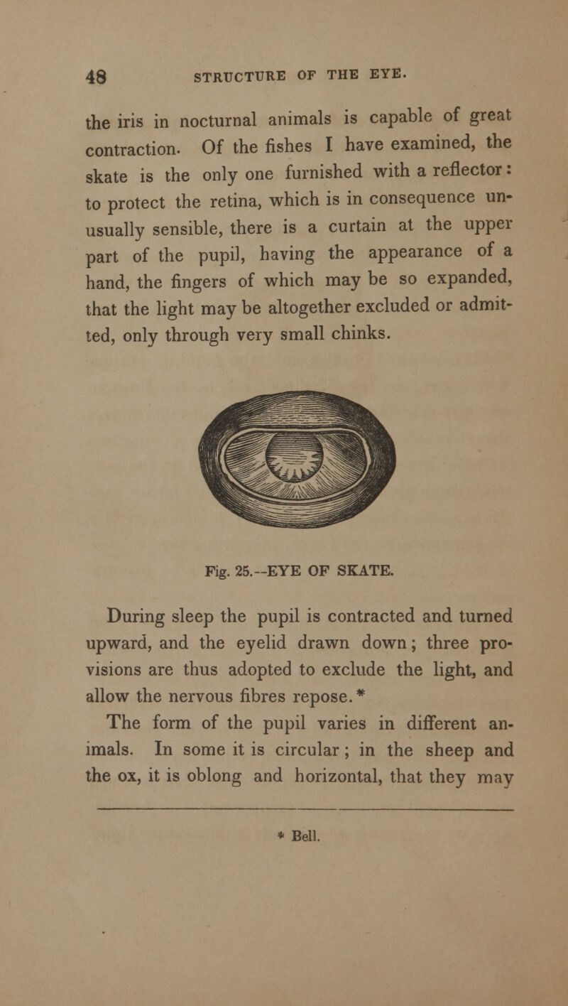 the iris in nocturnal animals is capable of great contraction. Of the fishes I have examined, the skate is the only one furnished with a reflector: to protect the retina, which is in consequence un- usually sensible, there is a curtain at the upper part of the pupil, having the appearance of a hand, the fingers of which may be so expanded, that the light may be altogether excluded or admit- ted, only through very small chinks. Fig. 25.--EYE OF SKATE. During sleep the pupil is contracted and turned upward, and the eyelid drawn down; three pro- visions are thus adopted to exclude the light, and allow the nervous fibres repose.* The form of the pupil varies in different an- imals. In some it is circular; in the sheep and the ox, it is oblong and horizontal, that they may * Bell.