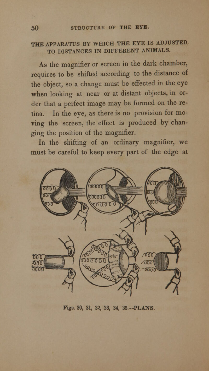 THE APPARATUS BY WHICH THE EYE IS ADJUSTED TO DISTANCES IN DIFFERENT ANIMALS. As the magnifier or screen in the dark chamber, requires to be shifted according to the distance of the object, so a change must be effected in the eye when looking at near or at distant objects, in or- der that a perfect image may be formed on the re- tina. In the eye, as there is no provision for mo- ving the screen, the effect is produced by chan- ging the position of the magnifier. In the shifting of an ordinary magnifier, we must be careful to keep every part of the edge at Figs. 30, 31, 32, 33, 34, 35.—PLANS.