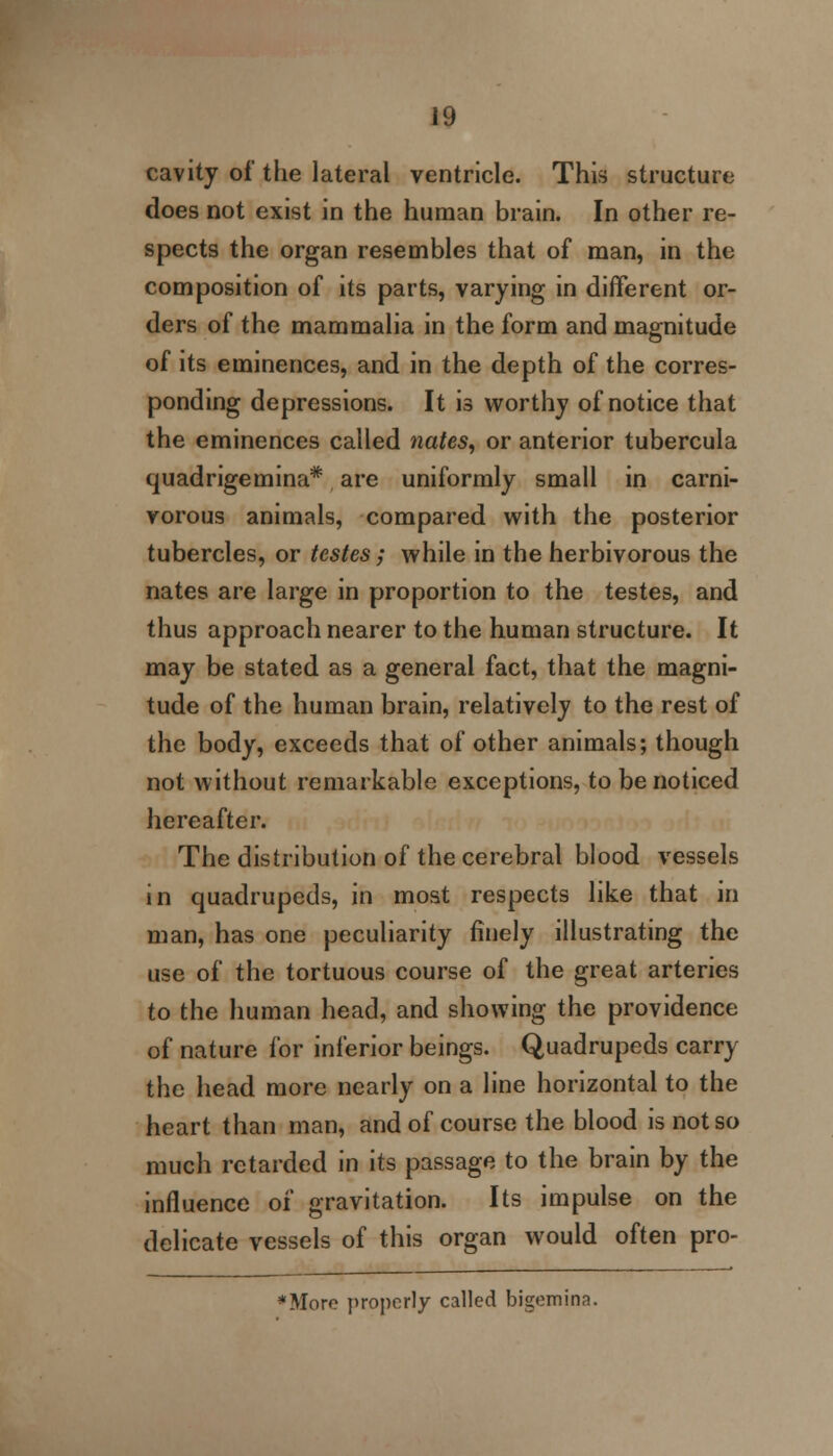 cavity of the lateral ventricle. This structure does not exist in the human brain. In other re- spects the organ resembles that of man, in the composition of its parts, varying in different or- ders of the mammalia in the form and magnitude of its eminences, and in the depth of the corres- ponding depressions. It is worthy of notice that the eminences called ?iates, or anterior tubercula quadrigemina* are uniformly small in carni- vorous animals, compared with the posterior tubercles, or testes; while in the herbivorous the nates are large in proportion to the testes, and thus approach nearer to the human structure. It may be stated as a general fact, that the magni- tude of the human brain, relatively to the rest of the body, exceeds that of other animals; though not without remarkable exceptions, to be noticed hereafter. The distribution of the cerebral blood vessels in quadrupeds, in most respects like that in man, has one peculiarity finely illustrating the use of the tortuous course of the great arteries to the human head, and showing the providence of nature for inferior beings. Quadrupeds carry the head more nearly on a line horizontal to the heart than man, and of course the blood is not so much retarded in its passage to the brain by the influence of gravitation. Its impulse on the delicate vessels of this organ would often pro- *More properly called bigemina.