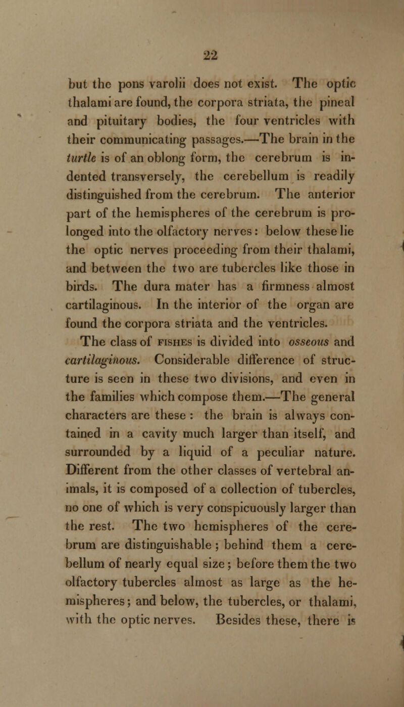 but the pons varolii does not exist. The optic thalami are found, the corpora striata, tiie pineal and pituitary bodies, the four ventricles with their communicating passages.—The brain in the turtle is of an oblong form, the cerebrum is in- dented transversely, the cerebellum is readily distinguished from the cerebrum. The anterior part of the hemispheres of the cerebrum is pro- longed into the olfactory nerves: below these lie the optic nerves proceeding from their thalami, and between the two are tubercles like those in birds. The dura mater has a firmness almost cartilaginous. In the interior of the organ are found the corpora striata and the ventricles. The class of fishes is divided into osseous and cartilaginous. Considerable difference of struc- ture is seen in these two divisions, and even in the families which compose them.—The general characters are these : the brain is always con- tained in a cavity much larger than itself, and surrounded by a liquid of a peculiar nature. Different from the other classes of vertebral an- imals, it is composed of a collection of tubercles, no one of which is very conspicuously larger than the rest. The two hemispheres of the cere- brum are distinguishable ; behind them a cere- bellum of nearly equal size ; before them the two olfactory tubercles almost as large as the he- mispheres ; and below, the tubercles, or thalami, with the optic nerves. Besides these, there is