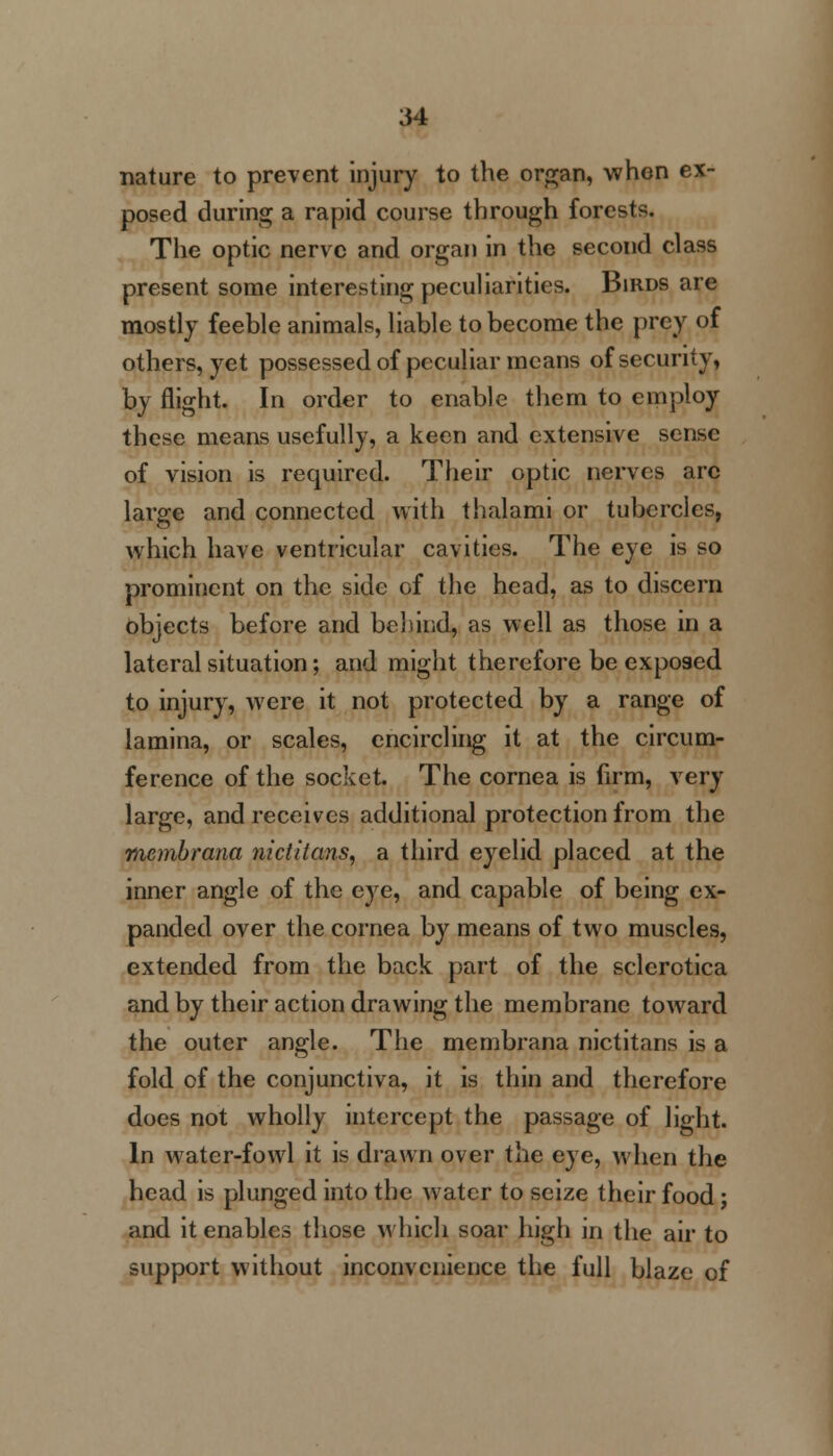 nature to prevent injury to the organ, when ex- posed during a rapid course through forests. The optic nerve and organ in the second class present some interesting peculiarities. Birds are mostly feeble animals, liable to become the prey of others, yet possessed of peculiar means of security, by flight. In order to enable them to employ these means usefully, a keen and extensive sense of vision is required. Their optic nerves arc large and connected with thalami or tubercles, which have ventricular cavities. The eye is so prominent on the side of the head, as to discern objects before and behind, as well as those in a lateral situation; and might therefore be exposed to injury, were it not protected by a range of lamina, or scales, encircling it at the circum- ference of the socket. The cornea is firm, very large, and receives additional protection from the membrana nictitans, a third eyelid placed at the inner angle of the eye, and capable of being ex- panded over the cornea by means of two muscles, extended from the back part of the sclerotica and by their action drawing the membrane toward the outer angle. The membrana nictitans is a fold of the conjunctiva, it is thin and therefore does not wholly intercept the passage of light. In water-fowl it is drawn over the eye, when the head is plunged into the water to seize their food; and it enables those which soar high in the air to support without inconvenience the full blaze of