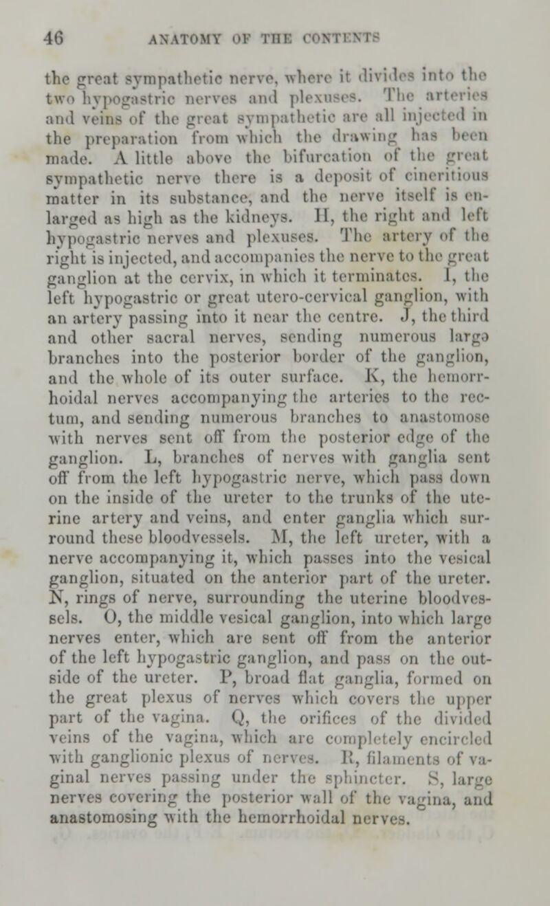 the great sympathetic nerve, where it divides into the two hypogastric nerves and plexuses. The art< and veins of the great sympathetic are all injected in the preparation from winch the drawing has been made. A little above the bifurcation of the great sympathetic nerve there is a deposit of eineritious matter in its substance, and the nerve itself is en- larged as high as the kidneys. 11. the right and left hypogastric nerves and plexuses. The artery of the right is injected, and accompanies the nerve to the great ganglion at the cervix, in which it terminates. 1, the left hypogastric <>r great utero-cervical ganglion, with an artery passing into it near the centre. J, the third and other sacral nerves, sending numerous large branches into the posterior bolder of the ganglion, and the whole of its outer surface. K, the hemorr- hoidal nerves accompanying t he arteries to the rec- tum, and sending numerous branches to anastomose with nerves sent off from the posterior edge of the ganglion. L, branches of nerves with ganglia sent off' from the left hypogastric nerve, which pass down on the inside of the ureter to the trunks of the ute- rine artery and veins, and enter ganglia which sur- round these bloodvessels. M, the left ureter, with a nerve accompanying it, which passes into the vesical ganglion, situated on the anterior part of the ureter. N, rings of nerve, surrounding the uterine bloodves- sels. 0, the middle vesical ganglion, into which large nerves enter, which are sent off from the anterior of the left hypogastric ganglion, and pass on the out- side of the ureter. P, broad flat ganglia, formed on the great plexus of nerves which covers the npper part of the vagina. Q, the orifices of the divided veins of the vagina, which are completely encil with ganglionic plexus of i. irvi -. R, filaments of va- ginal nerve- passing under the sphincter. S, large nerves covering the posterior wall of ti. ,. and anastomosing with the hemorrhoidal net i