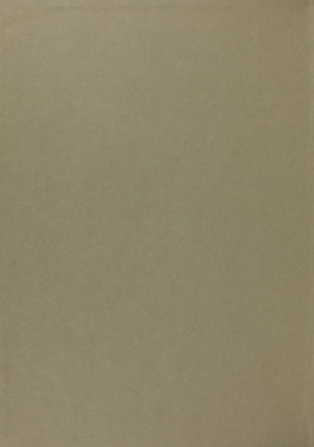 digitised image 2