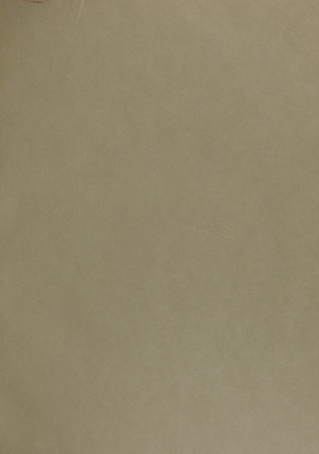 digitised image 3