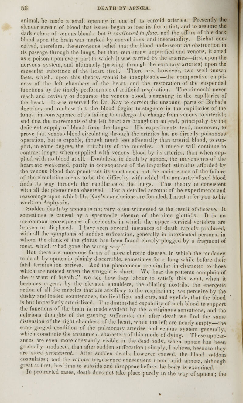 animal, he made a small opening in one of its carotid arteries. Presently the slender stream of blood that issued began to lose its florid tint, and to assume the dark colour of venous blood ; but it continued to flow, and the afflux of this dark blood upon the brain was marked by convulsions and insensibility. Bichat con- ceived, therefore, the erroneous belief thai the blood underwent no obstruction in its passage through the lungs, but that, remaining unpurified and venous, it acted as a poison upon every part to which it was carried by the arteries—first upon the nervous system, and ultimately (passing through the coronary arteries) upon the muscular substance of the heart itself. There are, however, two well-known facts, which, upon this theory, would be inexplicable—the comparative empti- ness of the left chambers of the heart, and the restoration of the suspended functions by the timely performance of artificial respiration. The air could never reach and revivify or depurate the venous blood, stagnating in the capillaries of the heart. It was reserved for Dr. Kay to correct the unsound parts of Bichat's doctrine, and to show that the blood begins to stagnate in the capillaries of the lungs, in consequence of its failing to undergo the change from venous to arterial; and that the movements of the left heart are brought to an end, principally by the deficient supply of blood from the lungs. His experiments tend, moreover, to prove that venous blood circulating through the arteries has no directly poisonous operation, but is capable, though much less effectually than arterial blood, to sup- port, in some degree, the irritability of the muscles. A muscle will continue to contract longer when supplied with venous blood by its arteries, than when sup- plied with no blood at all. Doubtless, in death by apncea, the movements of the heart are weakened, partly in consequence of the imperfect stimulus afforded by the venous blood that penetrates its substance; but the main cause of the failure of the circulation seems to be the difficulty with which the non-arterialized blood finds its way through the capillaries of the lungs. This theory is consistent with all the phenomena observed. For a detailed account of the experiments and reasonings upon which Dr. Kay's conclusions are founded, I must refer you to his work on Asphyxia. Sudden death by apncea is not very often witnessed as the result of disease. It sometimes is caused by a spasmodic closure of the rima glottidis. It is no uncommon consequence of accidents, in which the upper cervical vertebra? are broken or displaced. I have seen several instances of death rapidly produced, with all the symptoms of sudden suffocation, generally in intoxicated persons, in whom the chink of the glottis has been found closely plugged by a fragment of meat, which  had gone the wrong way. But there are numerous forms of more chronic disease, in which the tendency to death by apncea is plainly discernible, sometimes for a long while before their fatal termination arrives. And the phenomena are similar in character to those which are noticed when the struggle is short. We hear the patients complain of the  want of breath ; we see how they labour to satisfy this want, when it becomes urgent, by the elevated shoulders, the dilating nostrils, the energetic action of all the muscles that are auxiliary to the respiration ; we perceive by the dusky and loaded countenance, the livid lips, and ears, and eyelids, that the blood is but imperfectly arterialized. The diminished capability of such blood to support the functions of the brain is made evident by the vertiginous sensations, and the delirious thoughts of the gasping- sufferers; and after death we find the same distension of the right chambers of the heart, while the left are nearly empty the same gorged condition of the pulmonary arteries and venous system generally, which constitute the anatomical characters of this mode of dying. These appear- ances are even more constantly visible in the dead body, when apncea has been gradually produced, than after sudden suffocation ; simply, I believe, because they are more permanent. After sudden death, however caused, the blood seldom coagulates; and the venous turgescence consequent upon rapid apncea, although great at first, has time to subside and disappear before the body is examined. In protracted cases, death does not lake place purely in the way of apnosa; the