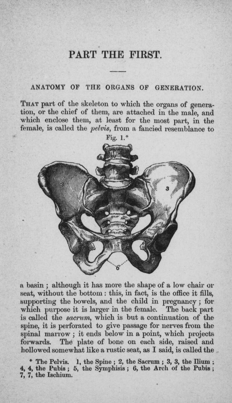 PART THE FIRST. ANATOMY OF THE ORGANS OF GENERATION. That part of the skeleton to which the organs of genera- tion, or the chief of them, are attached in the male, and which enclose them, at least for the most part, in the female, is called the pelvis, from a fancied resemblance to Fig. 1.* a basin ; although it has more the shape of a low chair or seat, without the bottom : this, in fact, is the office it nils, supporting the bowels, and the child in pregnancy; for which purpose it is larger in the female. The back part is called the sacrum, which is but a continuation of the spine, it is perforated to give passage for nerves from the spinal marrow ; it ends below in a point, which projects forwards. The plate of bone on each side, raised and hollowed somewhat like a rustic seat, as I said, is called the * The Pelvis. 1, the Spine ; 2, the Sacrum ; 3, 3, the Ilium ; 4, 4, the Pubis ; 5, the Symphisis ; 6, the Arch of the Pubis ;