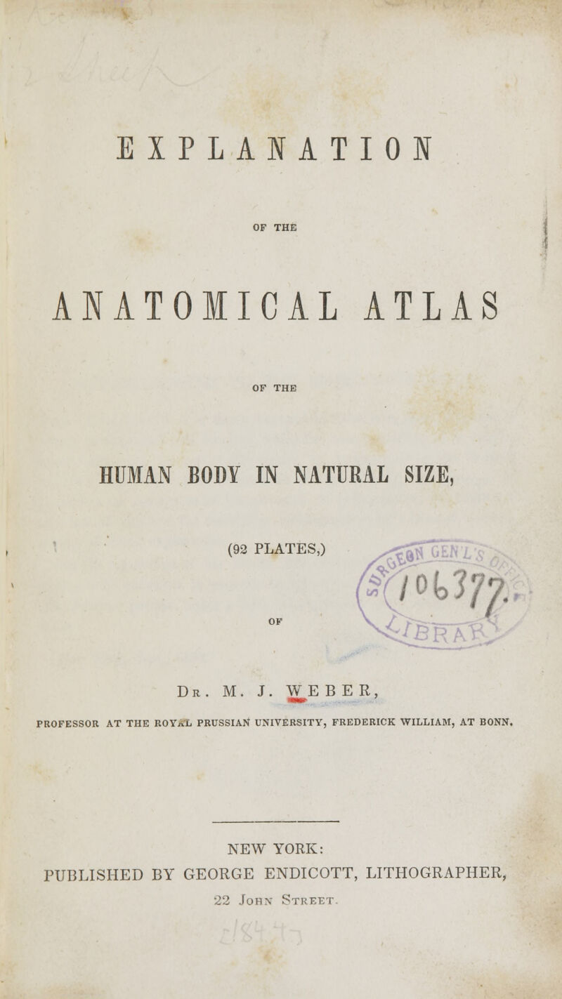 EXPLANATION ANATOMICAL ATLAS HUMAN BODY IN NATURAL SIZE, (92 PLATES,) ^JiC JRV Dr. M. J . WE B E R, PROFESSOR AT THE ROYAL PRUSSIAN UNIVERSITY, FREDERICK WILLIAM, AT BONN. NEW YORK: PUBLISHED BY GEORGE ENDICOTT, LITHOGRAPHER, 22 John Street.