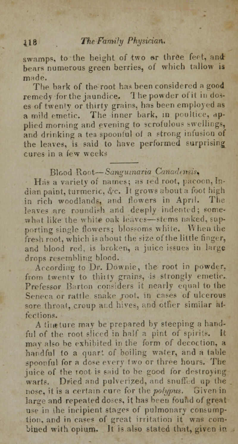 swamp?, to the height of two ©r three feet, and bears numerous green berries, of which tallow is made. The hark of the root has been considered a good remedy for the jaundice. 1 he powder of it in dos- es of twenty or thirty grains, has been employed as a mild emetic. The inner hark, in poultice, ap- plied morning and evening to scrofulous swellings, and drinking a tea spoonful of a strong infusion of the leaves, is said to have performed surprising cures in a few weeks Blood Root—Sangui7iaria Cafiadensi . Has a variety of names; as red root, pacoon, In- dian paint, turmeric, &c. It grows about a foot high in rich woodlands, and flowers in April. The leaves are roundish and deeply indented; some- what like the white oak leaves—stems naked, sup- porting single flowers; blossoms v\hite. When the fresh root, which is about (he size of the little finger, and blood red, is broken, a juice issues in large drops resembling blood. According to Dr. Downic, the root in powder. from twenty to thirty grains, is strongly emetic. Professor Barton considers it nearly equal to (he Seneca or rattle snake root, in cases of ulcerous sore throat, croup ai.d hives, and other similar af- fections. A tint ture may be prepared by steeping a hand- ful of the root sliced in half a pint of spirits. It may also he exhibited in the form of decoction, a handful to a quart of boiling water, and a table spoonful for a do«e every two or three hours. The juice of the root is said to be good for destroying warts. Dried and pulverized, and snufLd up the nose, it is a certain cure for the polypus. Given in large and repeated doses, it has been foufid of great use in the incipient stages of pulmonary consump- tion, and in cases of great irritation it was com- bined with opium. It is also stated that, given in