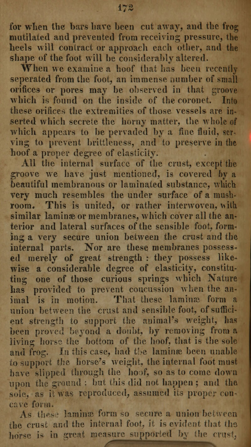 for when the bars have been cut away, and the frog mutilated and prevented from receiving pressure, the heels will contract or approach each other, and the shape of the foot will he considerably altered. When we examine a hoof that lias been recently seperated from the foot, an immense number of small orifices or pores may be observed in that groove which is found on the inside of the coronet. Into these orifices the extremities of those vessels are in- serted which secrete the horny matter, the. whole of which appears to be pervaded by a fine fluid, ser- ving to prevent brittleness, and to preserve in the hoof a proper degree of elasticity. All the internal surface of the crust, except the groove we have just mentioned, is covered by a beautiful membranous or laminated substance, which very much resembles the under surface of a mush- room. This is united, or rather interwoven, vuth similar laminae or membranes, which cover all the an- terior and lateral surfaces of the sensible foot, form- ing a very secure union between the crust and the internal parts. Nor are these membranes possess- ed merely of great strength : they possess like- wise a considerable degree of elasticity, constitu- ting one of those curious springs which Nature has provided to prevent coucussion when the an- imal is in motion. That these lamina} form a union between the crust and sensible foot, of suffici- ent strength to support the auimal's weight, has been proved beyond a doubt, by removing from a living horse the bottom of the hoof, that is the sole and frog. In this case, had the laminee been unable to support the horse's weight, the internal foot mu9t have slipped through the hoof, so as to come down upon the ground : but this did not happen ; and the sole, as it was reproduced, assumed its proper con- cave for hi. As these laminae form so secure a union between the crust and the internal foot, it is evident that the horse i* in great measure supported by the crust,