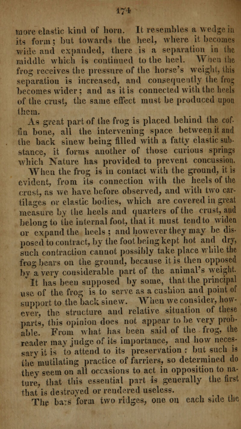 more elastic kind of horn. It resembles a wedge in its form; but towards the heel, where it becomes wide and expanded, there is a separation in (he middle which is continued to the heel. When the frog receives the pressure of the horse's weight, this separation is increased, and consequently the frog becomes wider: and as it is connected with the heels of the crust, the same effect must be produced upou them. As great part of the frog is placed behind the cof- fin bone, all the intervening space between it and the back sinew being filled with a fatty clastic sub- stance, it forms another of those curious springs which Nature has provided to prevent concussion. When the frog is in contact with the ground, it is evident, from its connection with the heels of the crust, as we have before observed, and with two car- tilages or elastic bodies, which are covered in great measure by the heels and quarters of the crust, and belong to the internal foot, that it must tend to widen or expand the heels ; and however they may be dis- posed to contract, by the foot being kept hot and dry, such contraction cannot possibly take place while the frog bears on the ground, because it is then opposed by 1l very considerable part of the animal's weight. It lias beeu supposed by some, that the principal use of the frog is to serve as a cushion and point of support to the bad; sinew. When we consider, how- ever, the structure and relative situation of these parts, this opinion does not appear to be very prob- able. From what has been said of the frog, the reader may judge of its importance, and how neces- sary it is to attend to its preservation : but such is the mutilating practice of farriers, so determined do they seem on all occasions to act in opposition to na- ture, that this essential part is generally the first that is destroyed or rendered useless. The ba:s form two ridges, one on each side the