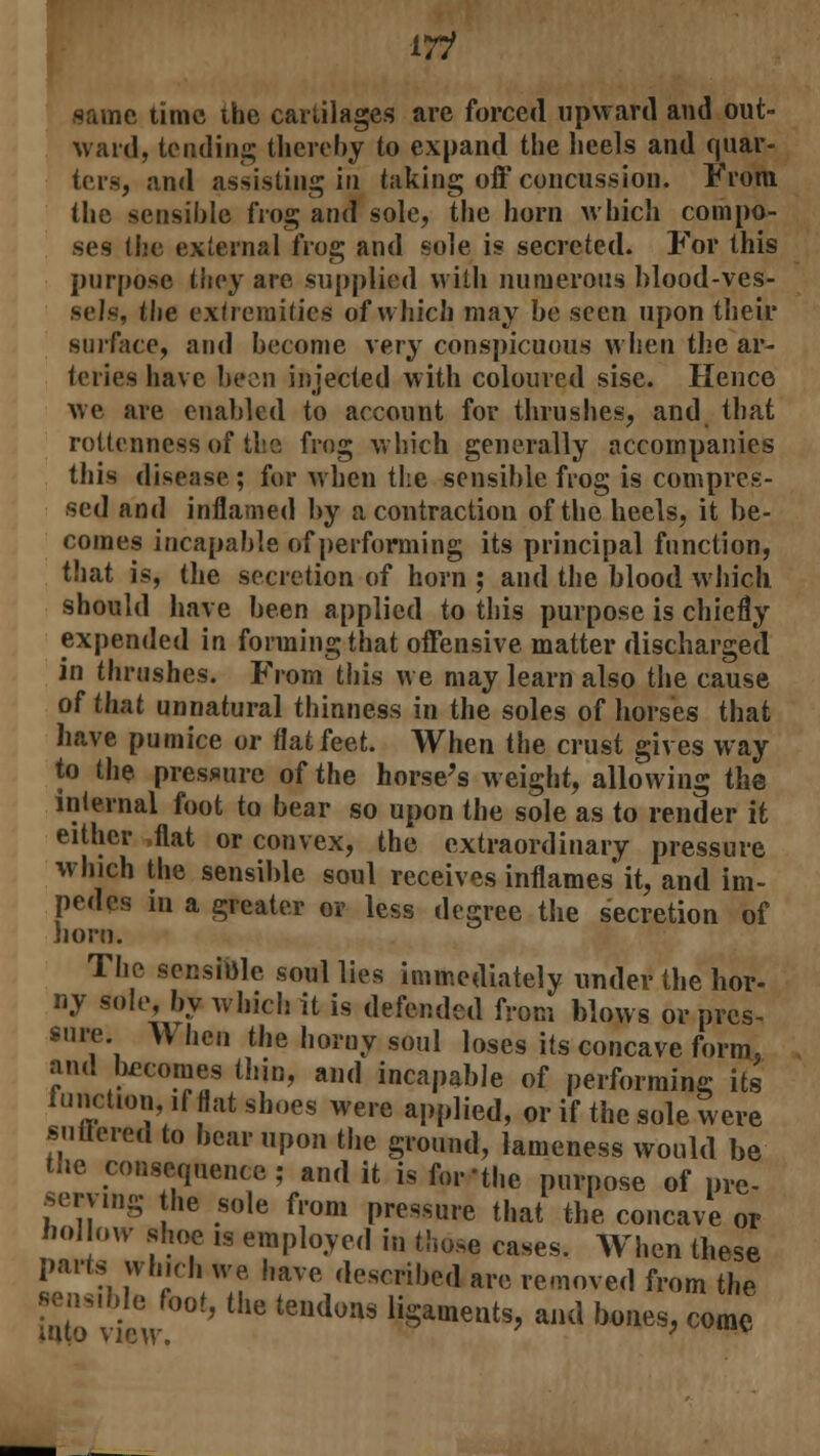 same time the cartilages are forced upward and out- tlie sensible Irog and sole, tne norn wuicn compo- ses the external frog and sole is secreted. For this purpose they are supplied with numerous blood-ves- sels, the extremities of which may be seen upon their sulfate, and become very conspicuous when the ar- teries have been injected with coloured sise. Hence we are enabled to account for thrushes, and that rottenness of the frog which generally accompanies this disease; for when the sensible frog is compres- sed and inflamed by a contraction of the heels, it be- comes incapable of performing its principal function, that is, the secretion of horn ; and the blood which should have been applied to this purpose is chiefly expended in forming that offensive matter discharged in thrushes. From this we may learn also the cause of that unnatural thinness in the soles of horses that have pumice or flat feet. When the crust gives way to the pressure of the horse's weight, allowing the internal foot to bear so upon the sole as to render it either flat or convex, the extraordinary pressure which the sensible soul receives inflames it, and im- pedes in a greater or less degree the secretion of horn. The sensinle soul lies immediately under the hor- ny sole, by which it is defended from blows or pres- sure. W hen the horny soul loses its concave form. and becomes thin, and incapable of performing its function, if flat shoes were applied, or if the sole were suffered to bear upon the ground, lameness would be the consequence; and it is for'the purpose of pre- serving he sole from pressure that the concave or ho!k»w shoe is employed in those cases. When these parts winch we have described are removed from the sensible foot, the tendons ligaments, and bones, come
