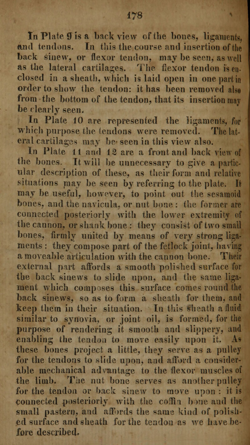 In Plate. 0 is a back view of the bones, ligaments, find tendons. In this the course and insertion of the back sinew, or flexor tendon, may be seen, as well as the lateral cartilages. The flexor tendon is en- closed in a sheath, which is laid open in one part in order to show the tendon: it has been removed alse from the bottom of the tendon, that its insertion may be clearly seen. In Plate 10 are represented the ligaments, for which purpose the tendons were removed. The lat- eral cartilages may be- seen in this view also. In Plate 11 and 12 are a front and back view of the bones. It will be unnecessary to give a partic- ular description of these, as their form and relative situations may be seen by referring to the plate. It may be useful, however, to point out the sesamoid bones, and the navicula, or nut bone : the former are connected posteriorly with the lower extremity of the cannon, or shank bone : they consist of two small bones, firmly united by means of very strong liga- ments : they compose part of the fetlock joint, having a moveable articulation with the cannon bone. Their external part affords a smooth polished surface for the back sinews to slide upon, and the same liga- ment which composes this surface comes round the back sinews, so as to form a sheath for them, and keep them in their situation. In this sheath a fluid similar to synovia, or joint oil, is formed, for the purpose of rendering it smooth and slippery, and enabling the tendon to more easily upon it. Ai these bones project a little, they serve as a pulley for the tendons to slide upon, and afford a consider- able mechanical advantage to the flexor muscles of the limb. The nut bone serves as another pulley for the tendon or back sinew to move upon : it is connected posteriorly with the coffin bone and the small pastern, and affords the same kind of polish- ed surface and sheath for the tendon as we have be- fore described.