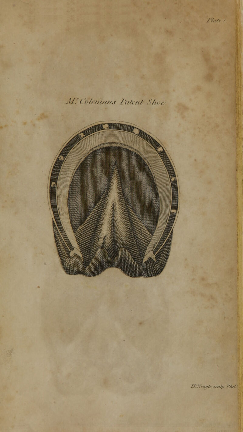 /'/,//, .1/.' ('/>//////a/.* /a/</if Shoe adp f/i,/