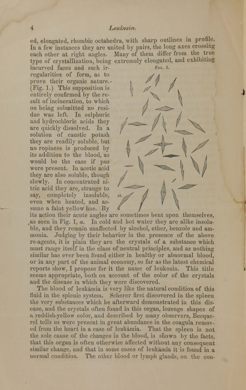 ed, elongated, rhombic octahedra, with sharp outlines in profile. In a few instances they are united by pairs, the long axes crossing each other at right angles. Many of them differ from the true type of crystallization, being extremely elongated, and exhibiting incurved faces and such ir- Fig. i. regularities of form, as to prove their organic nature.- (Fig. 1.) This supposition is entirely confirmed by the re- sult of incineration, to which on being submitted no resi- due was left. In sulphuric and hydrochloric acids they are quickly dissolved. In a solution of caustic potash they are readily soluble, but no ropiness is produced by its addition to the blood, as would be the case if pus were present. In acetic acid they are also soluble, though slowly. In concentrated ni- tric acid they are, strange to say, completely insoluble, even when heated, and as- sume a faint yellow hue. By its action their acute angles are sometimes bent upon themselves, ,as seen in Fig. 1, a. In cold and hot water they are alike insolu- ble, and they remain unaffected by alcohol, ether, benzole and am- monia. Judging by their behavior in the presence of the above re-agents, it is plain they are the crystals of a substance which must range itself in the class of neutral principles, and as nothing similar has ever been found either in healthy or abnormal blood, or in any part of the animal economy, so far as the latest chemical reports show, I propose for it the name of leukosin. This title seems appropriate, both on account of the color of the crystals and the disease in which they were discovered. The blood of leukamia is very like the natural condition of this fluid in the splenic system. Scherer first discovered in the spleen the very substances which he afterward demonstrated in this dis- ease, and the crystals often found in this organ, lozenge shapes of a reddish-yellow color, and described by many observers, Becque- rel tells us were present in great abundance in the coagula remov- ed from the heart in a case of leukamia. That the spleen is not the sole cause of the changes in the blood, is shown by the facts, that this organ is often otherwise affected without any consequent similar change, and that in some cases of leukamia it is found in a normal condition. The otlicr blood or lymph glands, on the con-