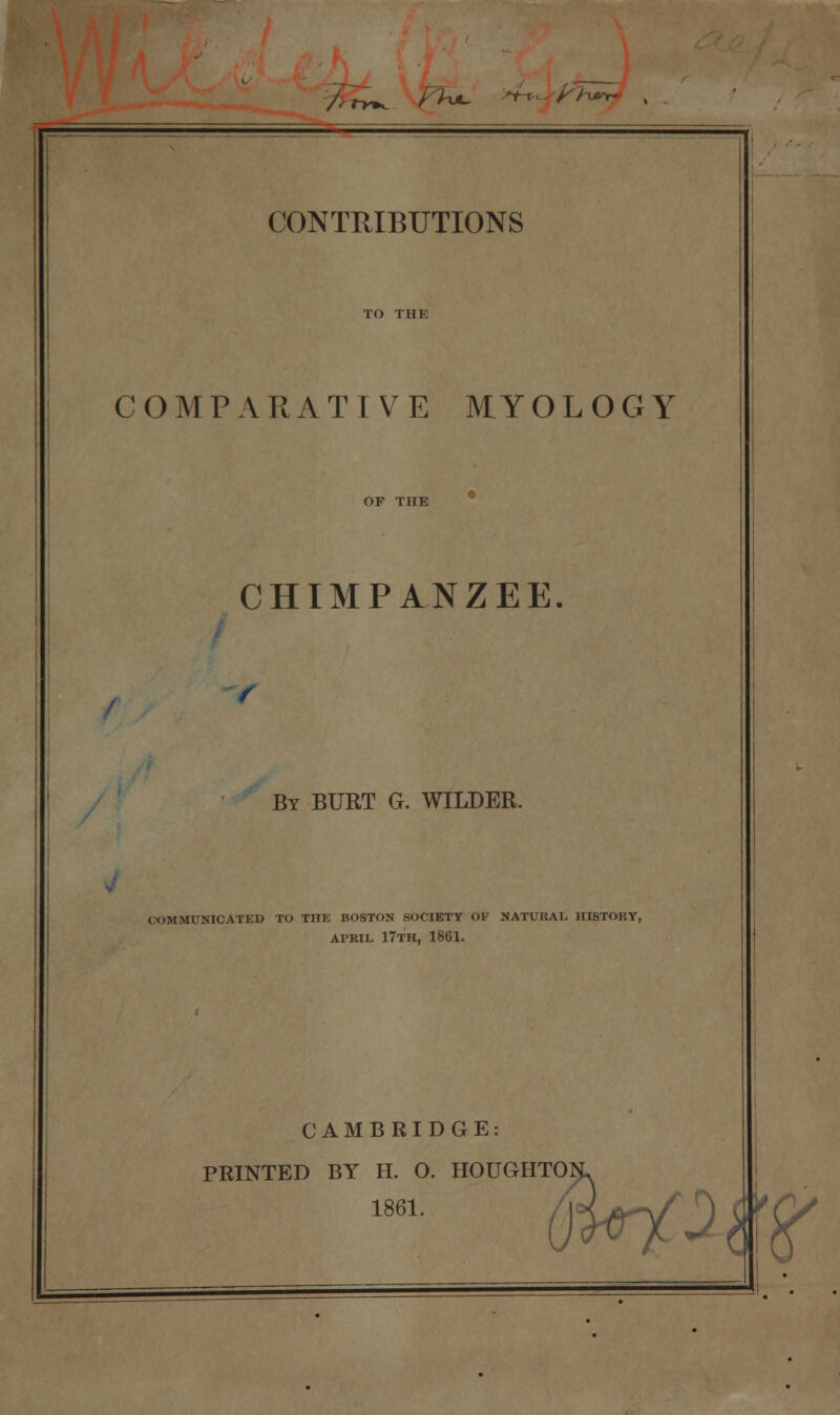 /r>^ /;^ ^Fh^ . CONTRIBUTIONS TO THE COMPARATIVE MY0L 0 GY OF THE CHIMPANZEE. r By BURT G. WILDER. COMMUNICATED TO THE BOSTON SOCIETY OF NATUKAL HIBTORY, APRIL 17th, 1861. CAMBRIDGE: