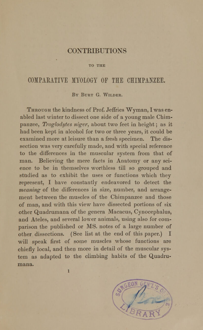 CONTRIBUTIONS TO THE COMPARATIVE MYOLOGY OF THE CHIMPANZEE. By Burt G. Wilder. Through the kindness of Prof. Jeffries Wyman, I was en- abled last winter to dissect one side of a young male Chim- panzee, Troglodytes niger, about two feet in height; as it had been kept in alcohol for two or three years, it could be examined more at leisure than a fresh specimen. The dis- section was very carefully made, and with special reference to the differences in the muscular system from that of man. Believing the mere facts in Anatomy or any sci- ence to be in themselves worthless till so grouped and studied as to exhibit the uses or functions which they represent, I have constantly endeavored to detect the meaning of the differences in size, number, and arrange- ment between the muscles of the Chimpanzee and those of man, and with this view have dissected portions of six other Quadrumana of the genera Macacus, Cynocephalus, and Ateles, and several lower animals, using also for com- parison the published or MS. notes of a large number of other dissections. (See list at the end of this paper.) I will speak first of some muscles whose functions are chiefly local, and then more in detail of the muscular sys- tem as adapted to the climbing habits of the Quadru- mana. l