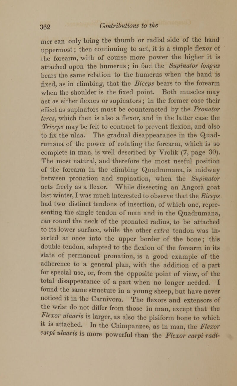 mer can only bring the thumb or radial side of the hand uppermost; then continuing to act, it is a simple flexor of the forearm, with of course more power the higher it is attached upon the humerus ; in fact the Supinator longus bears the same relation to the humerus when the hand is fixed, as in climbing, that the Biceps bears to the forearm when the shoulder is the fixed point. Both muscles may act as either flexors or supinators ; in the former case their effect as supinators must be counteracted by the Pronator teres, which then is also a flexor, and in the latter case the Triceps may be felt to contract to prevent flexion, and also to fix the ulna. The gradual disappearance in the Quad- rumana of the power of rotating the forearm, which is so complete in man, is well described by Vrolik (7, page 30). The most natural, and therefore the most useful position of the forearm in the climbing Quadrumana, is midway between pronation and supination, when the Supinator acts freely as a flexor. While dissecting an Angora goat last winter, I was much interested to observe that the Biceps had two distinct tendons of insertion, of which one, repre- senting the single tendon of man and in the Quadrumana, ran round the neck of the pronated radius, to be attached to its lower surface, while the other extra tendon was in- serted at once into the upper border of the bone; this double tendon, adapted to the flexion of the forearm in its state of permanent pronation, is a good example of the adherence to a general plan, with the addition of a part for special use, or, from the opposite point of view, of the total disappearance of a part when no longer needed. I found the same structure in a young sheep, but have never noticed it in the Carnivora. The flexors and extensors of the wrist do not differ from those in man, except that the Flexor ulnaris is larger, as also the pisiform bone to which it is attached. In the Chimpanzee, as in man, the Flexor carpi ulnaris is more powerful than the Flexor carpi radi-