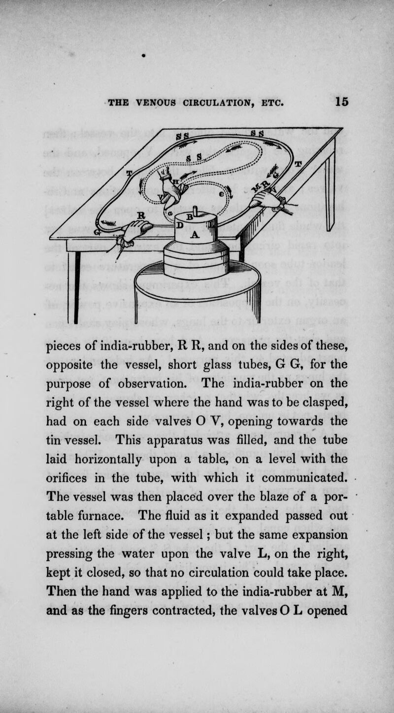 pieces of india-rubber, R R, and on the sides of these, opposite the vessel, short glass tubes, G G, for the purpose of observation. The india-rubber on the right of the vessel where the hand was to be clasped, had on each side valves O V, opening towards the tin vessel. This apparatus was filled, and the tube laid horizontally upon a table, on a level with the orifices in the tube, with which it communicated. The vessel was then placed over the blaze of a por- table furnace. The fluid as it expanded passed out at the left side of the vessel; but the same expansion pressing the water upon the valve L, on the right, kept it closed, so that no circulation could take place. Then the hand was applied to the india-rubber at M, and as the fingers contracted, the valves O L opened