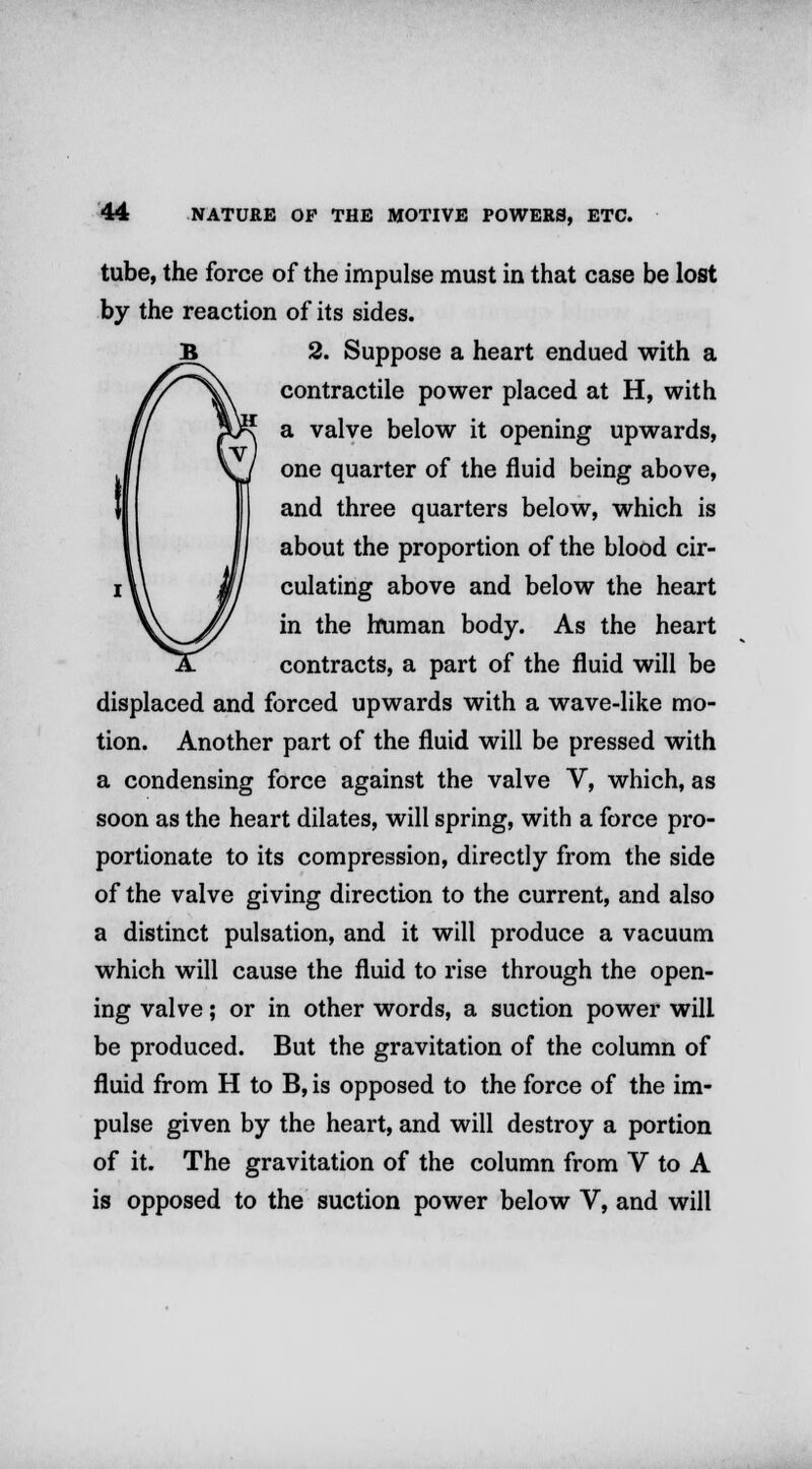 tube, the force of the impulse must in that case be lost by the reaction of its sides. 2. Suppose a heart endued with a contractile power placed at H, with a valve below it opening upwards, one quarter of the fluid being above, and three quarters below, which is about the proportion of the blood cir- culating above and below the heart in the human body. As the heart contracts, a part of the fluid will be displaced and forced upwards with a wave-like mo- tion. Another part of the fluid will be pressed with a condensing force against the valve V, which, as soon as the heart dilates, will spring, with a force pro- portionate to its compression, directly from the side of the valve giving direction to the current, and also a distinct pulsation, and it will produce a vacuum which will cause the fluid to rise through the open- ing valve; or in other words, a suction power will be produced. But the gravitation of the column of fluid from H to B, is opposed to the force of the im- pulse given by the heart, and will destroy a portion of it. The gravitation of the column from V to A is opposed to the suction power below V, and will