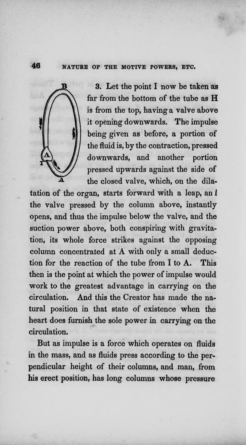 3. Let the point I now be taken as far from the bottom of the tube as H is from the top, having a valve above I 11 it opening downwards. The impulse being given as before, a portion of the fluid is, by the contraction, pressed downwards, and another portion pressed upwards against the side of the closed valve, which, on the dila- tation of the organ, starts forward with a leap, an i the valve pressed by the column above, instantly opens, and thus the impulse below the valve, and the suction power above, both conspiring with gravita- tion, its whole force strikes against the opposing column concentrated at A with only a small deduc- tion for the reaction of the tube from I to A. This then is the point at which the power of impulse would work to the greatest advantage in carrying on the circulation. And this the Creator has made the na- tural position in that state of existence when the heart does furnish the sole power in carrying on the circulation. But as impulse is a force which operates on fluids in the mass, and as fluids press according to the per- pendicular height of their columns, and man, from his erect position, has long columns whose pressure