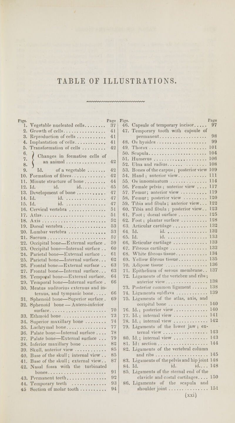 TABLE OF ILLUSTRATIONS. Figs. Page 1. Vegetable nucleated cells 37 2. Growth of cells 41 3. Reproduction of cells 41 4. Implantation of cells 41 5. Transformation of cells 42 ' / Changes in formative cells of ' f an animal 42 9. Id. of a vegetable 42 10. Formation of fibres 42 11. Minute structure of bone 44 12. Id. id. id 45 13. Development of bone 47 14. Id. id 47 15. Id. id 47 16. Cervical vertebra 51 17. Atlas 51 18. Axis 52 19. Dorsal vertebra 53 20. Lumbar vertebra 53 21. Sacrum 57 22. Occipital bone—External surface . 59 23. Occipital bone—Internal surface . . 60 24. Parietal bone—External surface . . 61 25. Parietal bone—Internal surface... 62 26. Frontal bone—External surface .. 63 27. Frontal bone—Internal surface... 63 28. Temporal bone—External surface. 64 29. Temporal bone—Internal surface . 66 30. Meatus auditorius externus and in- ternus, and tympanic bone 66 31. Sphenoid bone—Superior surface . 69 32. Sphenoid bone — Anteroinferior surface 70 33. Ethmoid bone 73 34. Superior maxillary bone 74 35. Lachrymal bone 77 36. Palate bone—Internal surface .... 78 37. Palate bone—External surface ... 79 38. Inferior maxillary bone 82 39. Skull, anterior view 85 40. Base of the skull ; internal view .. 85 41. Base of the skull; external view.. 87 42. Nasal fossa with the turbinated bones 91 43. Permanent teeth 92 44. Temporary teeth 93 45 Section of molar tooth 94 Figs. Page 46. Capsule of temporary incisor 97 47. Temporary tooth with capsule of permanent 98 48. Os hyoidcs 99 49. Thorax 101 50. Scapula 104 51. Humerus 106 52. Ulna and radius 108 53. Bones of the carpus; posterior view 109 54. Hand ; anterior view Ill 55. Os innominatum 114 56. Female pelvis ; anterior view .... 117 57. Femur; anterior view 119 58. Femur; posterior view 120 59. Tibia and fibula; anterior view.. . 122 60. Tibia and fibula ; posterior view. . 123 61. Foot; dorsal surface 125 62. Foot ; plantar surface 128 63. Articular cartilage 132 64. Id. id 132 65. Id. id 133 66. Reticular cartilage 133 67. Fibrous cartilage 133 68. White fibrous tissue 134 69. Yellow fibrous tissue 135 70. Adipose tissue 136 71. Epithelium of serous membrane.. 137 72. Ligaments of the vertebrae and ribs; anterior view 138 73. Posterior common ligament 138 74. Ligamenta subflava 139 75. Ligaments of the atlas, axis, and occipital bone 140 76. Id.; posterior view 140 77. Id.; internal view 141 78. Id. ; internal view 142 79. Ligaments of the lower jaw ; ex- ternal view 143 80. Id.; internal view 143 81. Id; section 144 82. Ligaments of the vertebral column and ribs 145 83. Ligaments of the pelvis and hip joint 148 84. Id. id. id.... 148 85. Ligaments of the sternal end of the clavicle and costal cartilages. ... 150 86. Ligaments of the scapula and shoulder joint 151