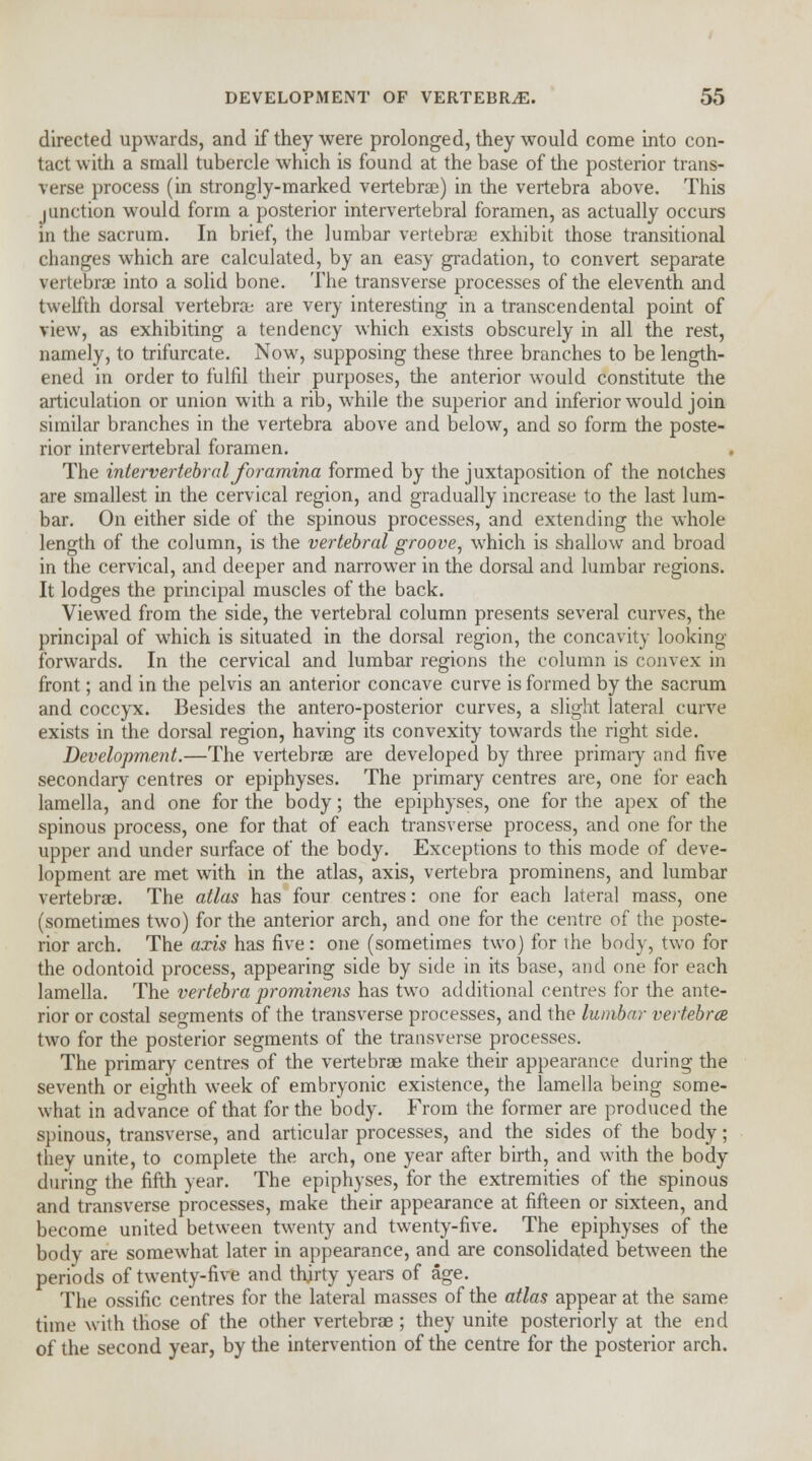 directed upwards, and if they were prolonged, they would come into con- tact with a small tubercle which is found at the base of the posterior trans- verse process (in strongly-marked vertebra) in the vertebra above. This junction would form a posterior intervertebral foramen, as actually occurs in the sacrum. In brief, the lumbar vertebras exhibit those transitional changes which are calculated, by an easy gradation, to convert separate vertebrae into a solid bone. The transverse processes of the eleventh and twelfth dorsal vertebra; are very interesting in a transcendental point of view, as exhibiting a tendency which exists obscurely in all the rest, namely, to trifurcate. Now, supposing these three branches to be length- ened in order to fulfil their purposes, the anterior would constitute the articulation or union with a rib, while the superior and inferior would join similar branches in the vertebra above and below, and so form the poste- rior intervertebral foramen. The intervertebral foramina formed by the juxtaposition of the notches are smallest in the cervical region, and gradually increase to the last lum- bar. On either side of the spinous processes, and extending the whole length of the column, is the vertebral groove, which is shallow and broad in the cervical, and deeper and narrower in the dorsal and lumbar regions. It lodges the principal muscles of the back. Viewed from the side, the vertebral column presents several curves, the principal of which is situated in the dorsal region, the concavity looking forwards. In the cervical and lumbar regions the column is convex in front; and in the pelvis an anterior concave curve is formed by the sacrum and coccyx. Besides the antero-posterior curves, a slight lateral curve exists in the dorsal region, having its convexity towards the right side. Development.—The vertebras are developed by three primaiy and five secondary centres or epiphyses. The primary centres are, one for each lamella, and one for the body; the epiphyses, one for the apex of the spinous process, one for that of each transverse process, and one for the upper and under surface of the body. Exceptions to this mode of deve- lopment are met with in the atlas, axis, vertebra prominens, and lumbar vertebras. The atlas has four centres: one for each lateral mass, one (sometimes two) for the anterior arch, and one for the centre of the poste- rior arch. The axis has five: one (sometimes two) for the body, two for the odontoid process, appearing side by side in its base, and one for each lamella. The vertebra prominens has two additional centres for the ante- rior or costal segments of the transverse processes, and the lumbar vertebrce two for the posterior segments of the transverse processes. The primary centres of the vertebrae make their appearance during the seventh or eighth week of embryonic existence, the lamella being some- what in advance of that for the body. From the former are produced the spinous, transverse, and articular processes, and the sides of the body; they unite, to complete the arch, one year after birth, and with the body during the fifth year. The epiphyses, for the extremities of the spinous and transverse processes, make their appearance at fifteen or sixteen, and become united between twenty and twenty-five. The epiphyses of the body are somewhat later in appearance, and are consolidated between the periods of twenty-five and thirty years of age. The ossific centres for the lateral masses of the atlas appear at the same time with those of the other vertebrae ; they unite posteriorly at the end of the second year, by the intervention of the centre for the posterior arch.