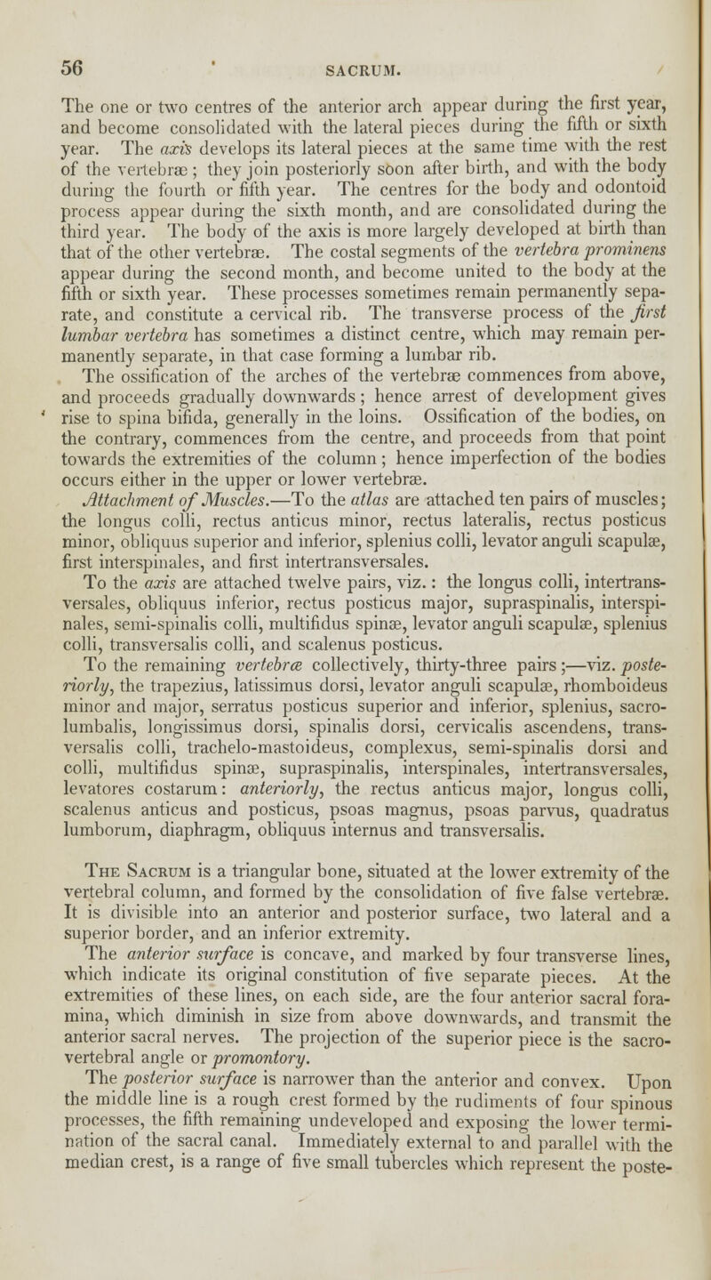 The one or two centres of the anterior arch appear during the first year, and become consolidated with the lateral pieces during the fifth or sixth year. The axis develops its lateral pieces at the same time with the rest of the vertebras; they join posteriorly soon after birth, and with the body during the fourth or fifth year. The centres for the body and odontoid process appear during the sixth month, and are consolidated during the third year. The body of the axis is more largely developed at birth than that of the other vertebras. The costal segments of the vertebra prominens appear during the second month, and become united to the body at the fifth or sixth year. These processes sometimes remain permanently sepa- rate, and constitute a cervical rib. The transverse process of the first lumbar vertebra has sometimes a distinct centre, which may remain per- manently separate, in that case forming a lumbar rib. The ossification of the arches of the vertebrae commences from above, and proceeds gradually downwards; hence arrest of development gives rise to spina bifida, generally in the loins. Ossification of the bodies, on the contrary, commences from the centre, and proceeds from that point towards the extremities of the column; hence imperfection of the bodies occurs either in the upper or lower vertebras. Attachment of Muscles.—To the atlas are attached ten pairs of muscles; the longus colli, rectus anticus minor, rectus lateralis, rectus posticus minor, obliquus superior and inferior, splenius colli, levator anguli scapulae, first interspinales, and first intertransversales. To the axis are attached twelve pairs, viz.: the longus colli, intertrans- versales, obliquus inferior, rectus posticus major, supraspinalis, interspi- nales, semi-spinalis colli, multifidus spinas, levator anguli scapulas, splenius colli, transversalis colli, and scalenus posticus. To the remaining vertebra collectively, thirty-three pairs;—viz. poste- riorly, the trapezius, latissimus dorsi, levator anguli scapulas, rhomboideus minor and major, serratus posticus superior and inferior, splenius, sacro- lumbalis, longissimus dorsi, spinalis dorsi, cervicalis ascendens, trans- versalis colli, trachelo-mastoideus, complexus, semi-spinalis dorsi and colli, multifidus spinas, supraspinalis, interspinales, intertransversales, levatores costarum: anteriorly, the rectus anticus major, longus colli, scalenus anticus and posticus, psoas magnus, psoas parvus, quadratus lumborum, diaphragm, obliquus internus and transversalis. The Sacrum is a triangular bone, situated at the lower extremity of the vertebral column, and formed by the consolidation of five false vertebras. It is divisible into an anterior and posterior surface, two lateral and a superior border, and an inferior extremity. The anterior surface is concave, and marked by four transverse lines, which indicate its original constitution of five separate pieces. At the extremities of these lines, on each side, are the four anterior sacral fora- mina, which diminish in size from above downwards, and transmit the anterior sacral nerves. The projection of the superior piece is the sacro- vertebral angle ox promontory. The posterior surface is narrower than the anterior and convex. Upon the middle line is a rough crest formed by the rudiments of four spinous processes, the fifth remaining undeveloped and exposing the lower termi- nation of the sacral canal. Immediately external to and parallel with the median crest, is a range of five small tubercles which represent the poste-