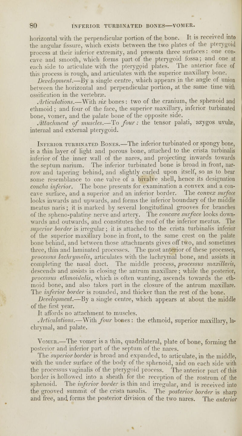 horizontal with the perpendicular portion of the bone. It is received into the angular fissure, which exists between the two plates of the pterygoid process at their inferior extremity, and presents three surfaces: one con- cave and smooth, which forms part of the pterygoid fossa; and one at each side to articulate with the pterygoid plates. The anterior face of this process is rough, and articulates with the superior maxillary bone. Development.—By a single centre, which appears in the angle of union between the horizontal and perpendicular portion, at the same time with ossification in the vertebrae. Articulations.—With six bones: two of the cranium, the sphenoid and ethmoid ; and four of the face, the superior maxillary, inferior turbinated bone, vomer, and the palate bone of the opposite side. Attachment of muscles.—To four : the tensor palati, azygos uvulae, internal and external pterygoid. Inferior turbinated Bones.—The inferior turbinated or spongy bone, is a thin layer of light and porous bone, attached to the crista turbinalis inferior of the inner wall of the nares, and projecting inwards towards the septum narium. The inferior turbinated bone is broad in front, nar- row and tapering behind, and slightly curled upon itself, so as to bear some resemblance to one valve of a bivalve shell, hence its designation concha inferior. The bone presents for examination a convex and a con- cave surface, and a superior and an inferior border. The convex surface looks inwards and upwards, and forms the inferior boundary of the middle meatus naris; it is marked by several longitudinal grooves for branches of the spheno-palatine nerve and artery. The concave surface looks down- wards and outwards, and constitutes the roof of the inferior meatus. The superior border is irregular; it is attached to the crista turbinalis inferior of the superior maxillary bone in front, to the same crest on the palate bone behind, and between those attachments gives off two, and sometimes three, thin and laminated processes. The most anterior of these processes, processus lachrymalis, articulates with the lachrymal bone, and assists in completing the nasal duct. The middle process, processus maxillaris, descends and assists in closing the antrum maxillare; while the posterior, processus ethmoidalis, which is often wanting, ascends towards the eth- moid bone, and also takes part in the closure of the antrum maxillare. The inferior border is rounded, and thicker than the rest of the bone. Development.—By a single centre, which appears at about the middle of the first year. It affords no attachment to muscles. Articulations.—With four bones: the ethmoid, superior maxillary, la- chrymal, and palate. Vomer.—The vomer is a thin, quadrilateral, plate of bone, forming the posterior and inferior part of the septum of the nares. The superior border is broad and expanded, to articulate, in the middle, with the under surface of the body of the sphenoid, and on each side with the processus vaginalis of the pterygoid process. The anterior part of this border is hollowed into a sheath for the reception of the rostrum of the sphenoid. The inferior border is thin and irregular, and is received into the grooved summit of the crista nasalis. The posterior border is sharp and free, and forms the posterior division of the two nares. The anterior