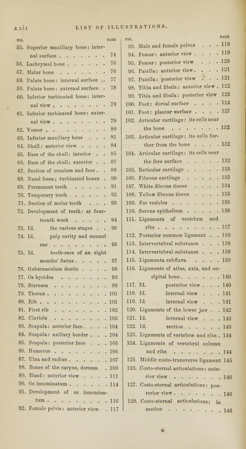 FIG. PAGE 55. Superior maxillary bone: inter- nal surface 74 56. Lachrymal bone 76 57. Malar bone 76 58. Palate bone : internal surface .. 77 59. Palate bone: external surface . 78 60. Inferior turbinated bone: inter- nal view 79 61. Inferior turbinated bone: exter- nal view 79 62. Vomer 80 63. Inferior maxillary bone ... 81 64. Skull: anterior view .... 84 65. Base of the skull: interior . . 85 66. Base of the skull: exterior . . 87 67. Section of cranium and face . . 88 68. Nasal fossa; turbinated bones . 90 69. Permanent teeth 91 70. Temporary teeth 92 71. Section of molar tooth ... 93 72. Development of teeth: at four- teenth week 94 73. Id. the various stages . . 96 74. Id. Pulp cavity and enamel sac 96 75. Id. tooth-sacs of an eight months' foetus 97 76. Gubernaculum dentis .... 98 77. Os hyoides 99 78. Sternum 99 79. Thorax 101 80. Rib 101 81. First rib 102 82. Clavicle 103 83. Scapula: anterior face. . . . 104 84. Scapula: axillary border . . . 104 85. Scapula: posterior face . . .105 86. Humerus 106 87. Ulna and radius 107 88. Bones of the carpus, dorsum . 109 89. Hand: anterior view . . . .111 90. Os innominatum 114 91. Development of os innomina- tum 116 92. Female pelvis: anterior view. . 117 93. Male and female pelves 94. Femur: anterior view . 95. Femur: posterior view 96. Patella: anterior view. 97. Patella: postorior view 98. Tibia and fibula: anterior vie 99. Tibia and fibula: posterior view 123 100. Foot: dorsal surface . . 101. Foot: plantar surface . , 102. Articular cartilage: its cells near the bone 103. Articular cartilage: its cells fur- ther from the bone .... 132 104. Articular cartilage: its cells near the free surface 132 105. Reticular cartilage 133 106. Fibrous cartilage 133 107. White fibrous tissue .... 134 108. Yellow fibrous tissue .... 135 109. Fat vesicles 136 110. Serous epithelium 136 111. Ligaments of vertebrae and ribs 137 112. Posterior common ligament . . 138 113. Intervertebral substance . . . 138 114. Intervertebral substance . . . 138 115. Ligamenta subflava . . . .139 116. Ligaments of atlas, axis, and oc- cipital bone 140 117. Id. posterior view . . . 140 118. Id. internal view . . . 141 119. Id. internal view . . . 141 120. Ligaments of the lower jaw . . 142 121. Id. internal view . . . 143 122. Id. section 143 123. Ligaments of vertebrae and ribs . 144 1-24. Ligaments of vertebral column and ribs 144 125. Middle costo-transverse ligament 145 126. Costo-sternal articulations: ante- rior view 146 127. Costo-sternal articulations: pos- terior view 146 128. Costo-sternal articulations: in section i^g PAGE 118 119 120 121 121 122 124 127 132