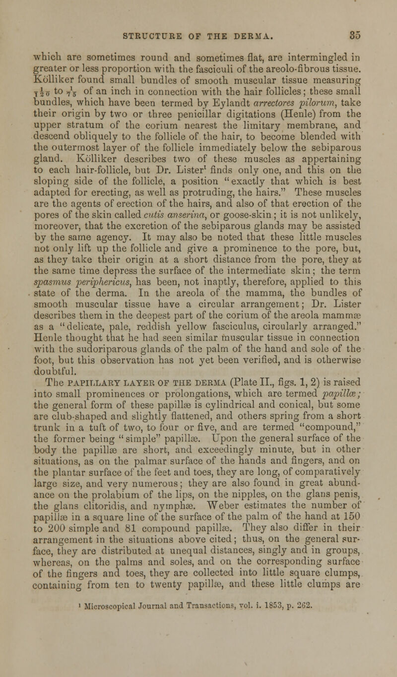 which are sometimes round and sometimes flat, are intermingled in greater or less proportion with the fasciculi of the areolo-fibrous tissue. Kolliker found small bundles of smooth muscular tissue measuring ihv t0 75 °f aa inch in connection with the hair follicles; these small bundles, which have been termed by Eylandt arrectores pilorum, take their origin by two or three penicillar digitations (Henle) from the upper stratum of the corium nearest the limitary membrane, and descend obliquely to the follicle of the hair, to become blended with the outermost layer of the follicle immediately below the sebiparous gland. Kolliker describes two of these muscles as appertaining to each hair-follicle, but Dr. Lister1 finds only one, and this on the sloping side of the follicle, a position exactly that which is best adapted for erecting, as well as protruding, the hairs. These muscles are the agents of erection of the hairs, and also of that erection of the pores of the skin called cutis anserina, or goose-skin; it is not unlikely, moreover, that the excretion of the sebiparous glands may be assisted by the same agency. It may also be noted that these little muscles not only lift up the follicle and give a prominence to the pore, but, as they take their origin at a short distance from the pore, they at the same time depress the surface of the intermediate skin; the term spasmus periphericus, has been, not inaptly, therefore, applied to this state of the derma. In the areola of the mamma, the bundles of smooth muscular tissue have a circular arrangement; Dr. Lister describes them in the deepest part of the corium of the areola mamma? as a delicate, pale, reddish yellow fasciculus, circularly arranged. Hcnle thought that he had seen similar muscular tissue in connection with the sudoriparous glands of the palm of the hand and sole of the foot, but this observation has not yet been verified, and is otherwise doubtful. The papillary layer of the derma (Plate II., figs. 1, 2) is raised into small prominences or prolongations, which are termed papillce; the general form of these papillae is cylindrical and conical, but some are club-shaped and slightly flattened, and others spring from a short trunk in a tuft of two, to four or five, and are termed compound, the former being simple papillae. Upon the general surface of the body the papillae are short, and exceedingly minute, but in other situations, as on the palmar surface of the hands and fingers, and on the plantar surface of the feet and toes, they are long, of comparatively large size, and very numerous; they are also found in great abund- ance on the prolabium of the lips, on the nipples, on the glans penis, the glans clitoridis, and nymphae. Weber estimates the number of papillae in a square line of the surface of the palm of the hand at 150 to 200 simple and 81 compound papillae. They also differ in their arrangement in the situations above cited; thus, on the general sur- face, they are distributed at unequal distances, singly and in groups, whereas, on the palms and soles, and on the corresponding surface of the fingers and toes, they are collected into little square clumps, containing from ten to twenty papilla?, and these little clumps are 1 Microscopical Journal and Transactions, vol. i. 1853, p. 262.