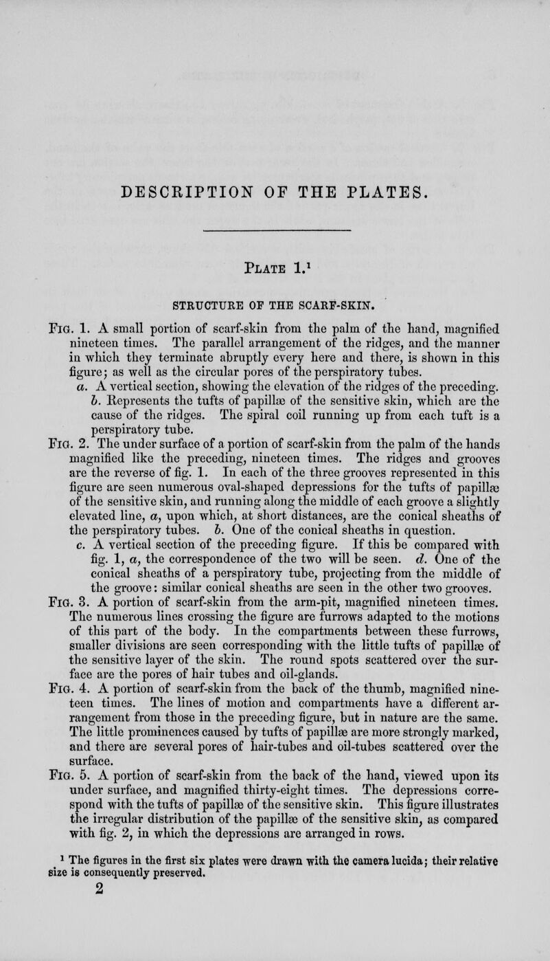 Plate l.1 STRUCTURE OF THE SCARF-SKIN. FiG. 1. A small portion of scarf-skin from the palm of the hand, magnified nineteen times. The parallel arrangement of the ridges, and the manner in which they terminate abruptly every here and there, is shown in this figure; as well as the circular pores of the perspiratory tubes. a. A vertical section, showing the elevation of the ridges of the preceding. b. Represents the tufts of papillae of the sensitive skin, which are the cause of the ridges. The spiral coil running up from each tuft is a perspiratory tube. Fia. 2. The under surface of a portion of scarf-skin from the palm of the hands magnified like the preceding, nineteen times. The ridges and grooves are the reverse of fig. 1. In each of the three grooves represented in this figure are seen numerous oval-shaped depressions for the tufts of papilla; of the sensitive skin, and running along the middle of each groove a slightly elevated line, a, upon which, at short distances, are the conical sheaths of the perspiratory tubes, b. One of the conical sheaths in question. c. A vertical section of the preceding figure. If this be compared with fig. 1, a, the correspondence of the two will be seen. d. One of the conical sheaths of a perspiratory tube, projecting from the middle of the groove: similar conical sheaths are seen in the other two grooves. FiG. 3. A portion of scarf-skin from the arm-pit, magnified nineteen times. The numerous lines crossing the figure are furrows adapted to the motions of this part of the body. In the compartments between these furrows, smaller divisions are seen corresponding with the little tufts of papillae of the sensitive layer of the skin. The round spots scattered over the sur- face are the pores of hair tubes and oil-glands. FiG. 4. A portion of scarf-skin from the back of the thumb, magnified nine- teen times. The lines of motion and compartments have a different ar- rangement from those in the preceding figure, but in nature are the same. The little prominences caused by tufts of papilla; are more strongly marked, and there are several pores of hair-tubes and oil-tubes scattered over the surface. Fig. 5. A portion of scarf-skin from the back of the hand, viewed upon its under surface, and magnified thirty-eight times. The depressions corre- spond with the tufts of papilla; of the sensitive skin. This figure illustrates the irregular distribution of the papilla; of the sensitive skin, as compared with fig. 2, in which the depressions are arranged in rows. _ * The figures in the first six plates were drawn with the camera lucida; their relative eize is consequently preserved. 2