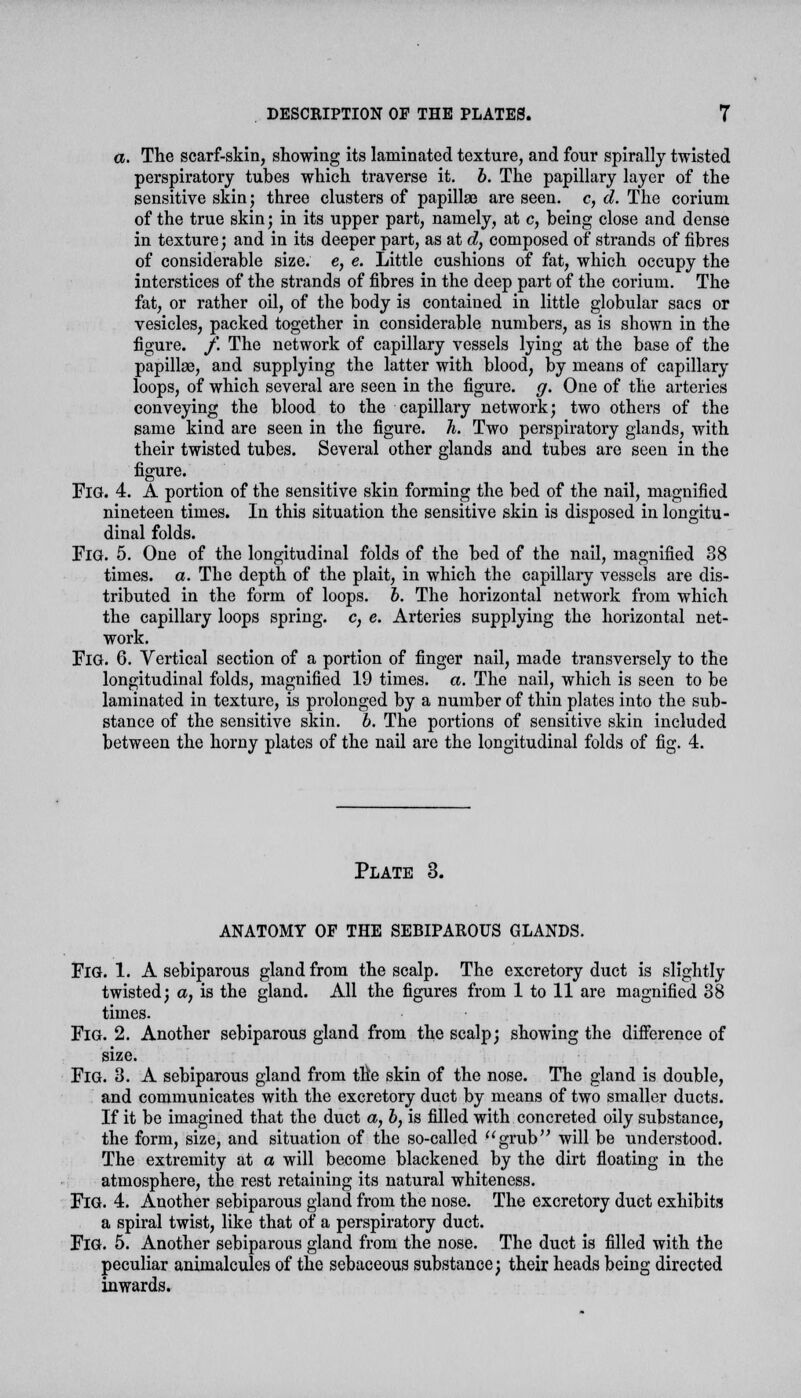 a. The scarf-skin, showing its laminated texture, and four spirally twisted perspiratory tubes which traverse it. b. The papillary layer of the sensitive skin; three clusters of papillae are seen, c, d. The corium of the true skin; in its upper part, namely, at c, being close and dense in texture; and in its deeper part, as at d, composed of strands of fibres of considerable size, e, e. Little cushions of fat, which occupy the interstices of the strands of fibres in the deep part of the corium. The fat, or rather oil, of the body is contained in little globular sacs or vesicles, packed together in considerable numbers, as is shown in the figure. /. The network of capillary vessels lying at the base of the papillae, and supplying the latter with blood, by means of capillary- loops, of which several are seen in the figure, g. One of the arteries conveying the blood to the capillary network; two others of the same kind are seen in the figure. Ti. Two perspiratory glands, with their twisted tubes. Several other glands and tubes are seen in the figure. FlG. 4. A portion of the sensitive skin forming the bed of the nail, magnified nineteen times. In this situation the sensitive skin is disposed in longitu- dinal folds. FlG. 5. One of the longitudinal folds of the bed of the nail, magnified 38 times, a. The depth of the plait, in which the capillary vessels are dis- tributed in the form of loops, b. The horizontal network from which the capillary loops spring, c, e. Arteries supplying the horizontal net- work. FlG. 6. Vertical section of a portion of finger nail, made transversely to the longitudinal folds, magnified 19 times, a. The nail, which is seen to be laminated in texture, is prolonged by a number of thin plates into the sub- stance of the sensitive skin. b. The portions of sensitive skin included between the horny plates of the nail are the longitudinal folds of fig. 4. Plate 3. ANATOMY OF THE SEBIPAROUS GLANDS. FlG. 1. A sebiparous gland from the scalp. The excretory duct is slightly twisted; a, is the gland. All the figures from 1 to 11 are magnified 38 times. Fig. 2. Another sebiparous gland from the scalp; showing the difference of size. Fig. 3. A sebiparous gland from the skin of the nose. The gland is double, and communicates with the excretory duct by means of two smaller ducts. If it be imagined that the duct a, b, is filled with concreted oily substance, the form, size, and situation of the so-called grub will be understood. The extremity at a will become blackened by the dirt floating in the atmosphere, the rest retaining its natural whiteness. FlG. 4. Another sebiparous gland from the nose. The excretory duct exhibits a spiral twist, like that of a perspiratory duct. FlG. 5. Another sebiparous gland from the nose. The duct is filled with the peculiar animalcules of the sebaceous substance; their heads being directed inwards.