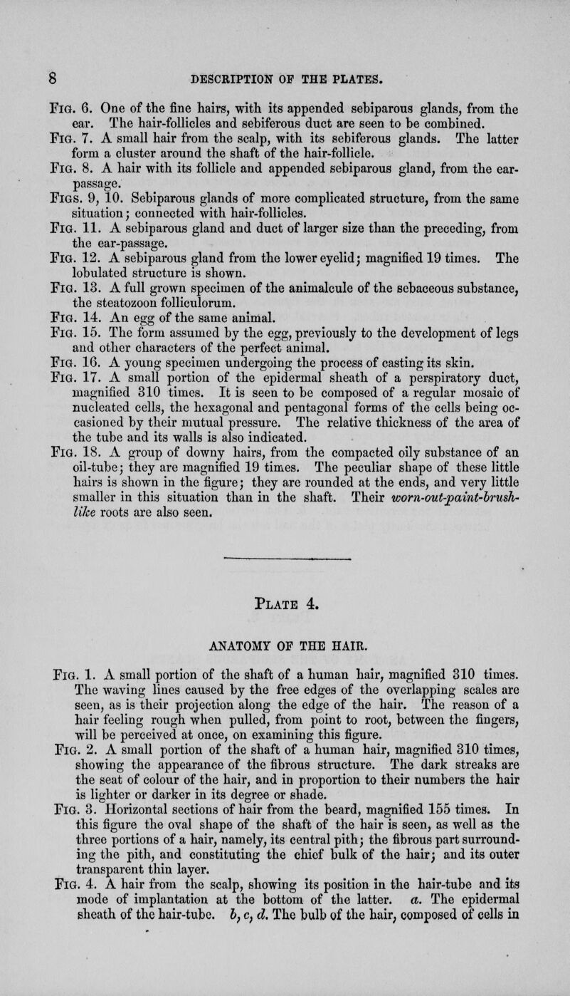 Fig. 6. One of the fine hairs, with its appended sebiparous glands, from the ear. The hair-follicles and sebiferous duct are seen to be combined. Fig. 7. A small hair from the scalp, with its sebiferous glands. The latter form a cluster around the shaft of the hair-follicle. FiG. 8. A hair with its follicle and appended sebiparous gland, from the ear- passage. Figs. 9, 10. Sebiparous glands of more complicated structure, from the same situation; connected with hair-follicles. FiG. 11. A sebiparous gland and duct of larger size than the preceding, from the ear-passage. Fig. 12. A sebiparous gland from the lower eyelid; magnified 19 times. The lobulated structure is shown. Fig. 13. A full grown specimen of the animalcule of the sebaceous substance, the steatozoon folliculorum. Fig. 14. An egg of the same animal. Fig. 15. The form assumed by the egg, previously to the development of legs and other characters of the perfect animal. Fig. 16. A young specimen undergoing the process of casting its skin. FiG. 17. A small portion of the epidermal sheath of a perspiratory duct, magnified 310 times. It is seen to be composed of a regular mosaic of nucleated cells, the hexagonal and pentagonal forms of the cells being oc- casioned by their mutual pressure. The relative thickness of the area of the tube and its walls is also indicated. FiG. 18. A group of downy hairs, from the compacted oily substance of an oil-tube; they are magnified 19 times. The peculiar shape of these little hairs is shown in the figure; they are rounded at the ends, and very little smaller in this situation than in the shaft. Their wom-out-paint-brush- like roots are also seen. Plate 4. ANATOMY OF THE HAIR. FiG. 1. A small portion of the shaft of a human hair, magnified 310 times. The waving lines caused by the free edges of the overlapping scales are seen, as is their projection along the edge of the hair. The reason of a hair feeling rough when pulled, from point to root, between the fingers, will be perceived at once, on examining this figure. FiG. 2. A small portion of the shaft of a human hair, magnified 310 times, showing the appearance of the fibrous structure. The dark streaks are the seat of colour of the hair, and in proportion to their numbers the hair is lighter or darker in its degree or shade. FiG. 3. Horizontal sections of hair from the beard, magnified 155 times. In this figure the oval shape of the shaft of the hair is seen, as well as the three portions of a hair, namely, its central pith; the fibrous part surround- ing the pith, and constituting the chief bulk of the hair; and its outer transparent thin layer. FiG. 4. A hair from the scalp, showing its position in the hair-tube and its mode of implantation at the bottom of the latter, a. The epidermal sheath of the hair-tube. b} c} d. The bulb of the hair; composed of cells in