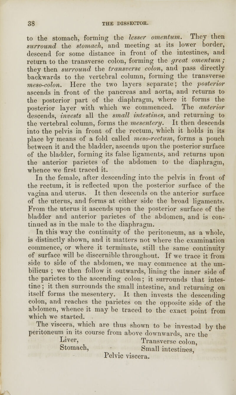 to the stomach, forming the lesser omentum. They then surround the stomach, and meeting at its lower border, descend for some distance in front of the intestines, and return to the transverse colon, forming the great omentum; they then surround the transverse colon, and pass directly backwards to the vertebral column, forming the transverse meso-colon. Here the two layers separate; the posterior ascends in front of the pancreas and aorta, and returns to the posterior part of the diaphragm, where it forms the posterior layer with which we commenced. The anterior descends, invests all the small intestines, and returning to the vertebral column, forms the mesentery. It then descends into the pelvis in front of the rectum, which it holds in its place by means of a fold called meso-rectum, forms a pouch between it and the bladder, ascends upon the posterior surface of the bladder, forming its false ligaments, and returns upon the anterior parietes of the abdomen to the diaphragm, whence we first traced it. In the female, after descending into the pelvis in front of the rectum, it is reflected upon the posterior surface of the vagina and uterus. It then descends on the anterior surface of the uterus, and forms at either side the broad ligaments. From the uterus it ascends upon the posterior surface of the bladder and anterior parietes of the abdomen, and is con- tinued as in the male to the diaphragm. In this way the continuity of the peritoneum, as a whole, is distinctly shown, and it matters not where the examination commence, or where it terminate, still the same continuity of surface will be discernible throughout. If we trace it from side to side of the abdomen, we may commence at the um- bilicus ; we then follow it outwards, lining the inner side of the parietes to the ascending colon; it surrounds that intes- tine ; it then surrounds the small intestine, and returning on itself forms the mesentery. It then invests the descending colon, and reaches the parietes on the opposite side of the abdomen, whence it may be traced to the exact point from which we started. , The viscera, which are thus shown to be invested by the peritoneum in its course from above downwards, are the Liver, Transverse colon, Stomach, ^ Small intestines, Pelvic viscera.