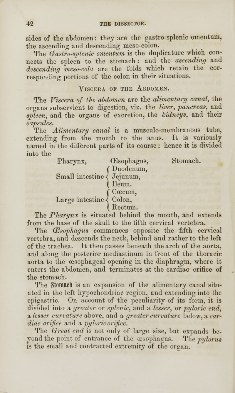 sides of the abdomen: they are the gastro-splenic omentum, the ascending and descending meso-colon. The Gastro-splenic omentum is the duplicature which con- nects the spleen to the stomach : and the ascending and descending meso-cola are the folds which retain the cor- responding portions of the colon in their situations. Viscera of the Abdomen. The Viscera of the abdomen are the alimentary canal, the organs subservient to digestion, viz. the liver, pancreas, and spleen, and the organs of excretion, the kidneys, and their capsules. The Alimentary canal is a musculo-membranous tube, extending from the mouth to the anus. It is variously named in the different parts of its course: hence it is divided into the Pharynx, (Esophagus, Stomach. ( Duodenum, Small intestine < Jejunum, (Ileum. ( Coecum, Large intestines Colon, ( Rectum. The Pharynx is situated behind the mouth, and extends from the base of the skull to the fifth cervical vertebra. The (Esophagus commences opposite the fifth cervical vertebra, and descends the neck, behind and rather to the left of the trachea. It then passes beneath the arch of the aorta, and along the posterior mediastinum in front of the thoracic aorta to the oesophageal opening in the diaphragm, where it enters the abdomen, and terminates at the cardiac orifice of the stomach. The Stomach is an expansion of the alimentary canal situ- ated in the left hypochondriac region, and extending into the epigastric. On account of the peculiarity of its form, it is divided into a greater or splenic, and a lesser, or pyloric end, a lesser curvature above, and a greater curvature below, a car- diac orifice and a pyloric orifice. The Great end is not only of large size, but expands be- yond the point of entrance of the oesophagus. The pylorus is the small and contracted extremity of the organ.