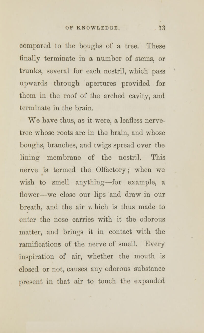 compared to the boughs of a tree. These finally terminate in a number of stems, or trunks, several for each nostril, which pass upwards through apertures provided for them in the roof of the arched cavity, and terminate in the brain. We have thus, as it were, a leafless nerve- tree whose roots are in the brain, and whose boughs, branches, and twigs spread over the lining membrane of the nostril. This nerve is termed the Olfactory; when we wish to smell anything—for example, a flower—we close our lips and draw in our breath, and the air v- hich is thus made to enter the nose carries with it the odorous matter, and brings it in contact with the ramifications of the nerve of smell. Every inspiration of air, whether the mouth is closed or not, causes any odorous substance present in that air to touch the expanded