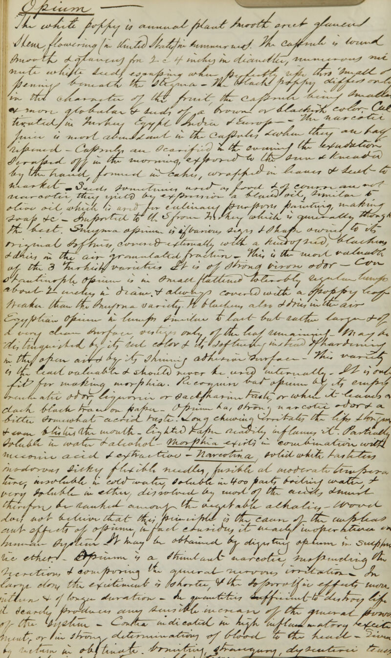 filter- tfc, c£ tpZi-f-c^ij lyn- £~ c /■/■ /^^Jiiy h*^ tztt'tf-'fiti.. t**~~~*-*—~cr-~*^ '***-£. ^*^ ^1 cAuJtl^C^C tf t£ <SA^~~ M/Cy V^UWC V^^l-^*, >*5^ y4^- «^c^a^»^<^f jb-ii^-ff-rfVLf jfrs^^-tZJ^j, vt~~A*&i*~-y t~