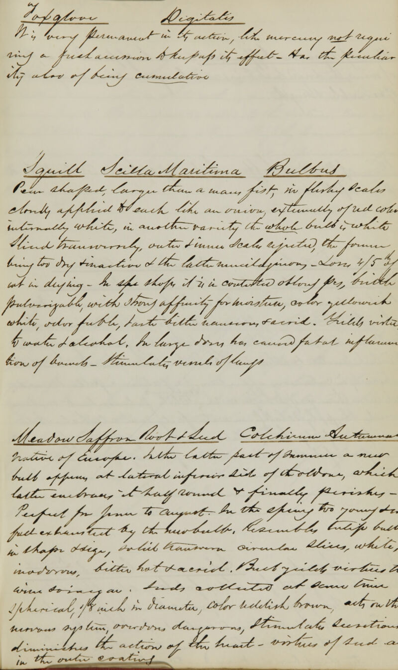 ^»W *- J^^sl a-^^K^^, yf^^^ C/f~^Cc^~^ <Vtl^ &£^L<^*i >K 6C £ ^X^Jf^ ^*^^y ^**-^*^ /^~~