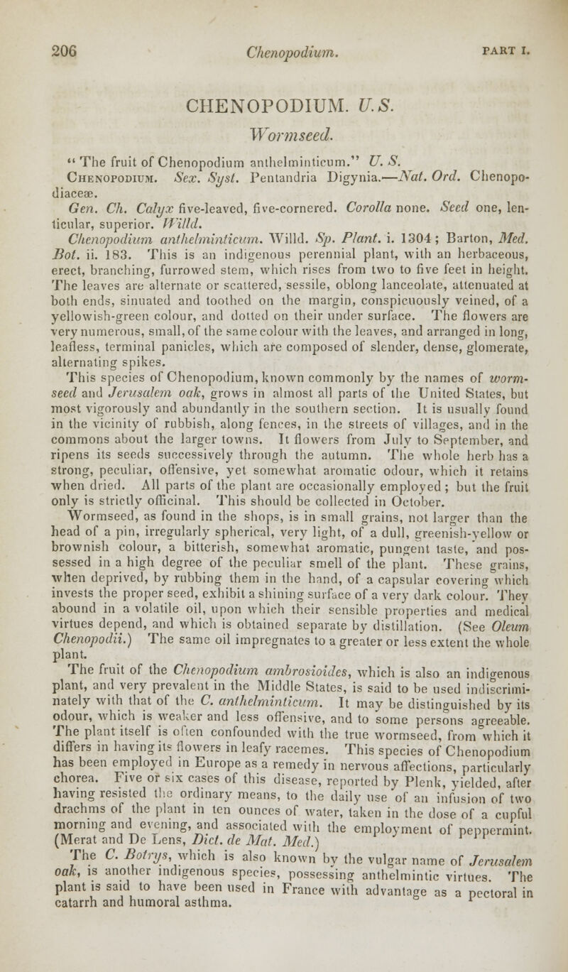 CHENOPODIUM. U.S. Wormseed.  The fruit of Chenopodium anthelminticum. U. S. Chenopodium. Sex. Syst. Pentandria Digynia.—iVaf. Ord. Chenopo- diaceae. Gen. Ch. Calyx five-leaved, five-cornered. Corolla none. Seed one, len- ticular, superior. IVilld. Chenopodium anthelminticum. Willd. Sp. Plant, i. 1304; Barton, Med. Bot. ii. 183. This is an indigenous perennial plant, with an herbaceous, erect, branching, furrowed stem, which rises from two to five feet in height. The leaves are alternate or scattered, sessile, oblong lanceolate, attenuated at both ends, sinuated and toothed on the margin, conspicuously veined, of a yellowish-green colour, and dotted on their under surface. The flowers are very numerous, small, of the same colour with the leaves, and arranged in long, leafless, terminal panicles, which are composed of slender, dense, glomerate, alternating spikes. This species of Chenopodium, known commonly by the names of ivorm- seed and Jerusalem oak, grows in almost all parts of the United States, but most vigorously and abundantly in the southern section. It is usually found in the vicinity of rubbish, along fences, in the streets of villages, and in the commons about the larger towns. It flowers from July to September, and ripens its seeds successively through the autumn. The whole herb has a strong, peculiar, offensive, yet somewhat aromatic odour, which it retains when dried. All parts of the plant are occasionally employed ; but the fruit only is strictly officinal. This should be collected in October. Wormseed, as found in the shops, is in small grains, not larger than the head of a pin, irregularly spherical, very light, of a dull, greenish-yellow or brownish colour, a bitterish, somewhat aromatic, pungent taste, and pos- sessed in a high degree of the peculiar smell of the plant. These grains, when deprived, by rubbing them in the hand, of a capsular covering which invests the proper seed, exhibit a shining surface of a very dark colour. They abound in a volatile oil, upon which their sensible properties and medical virtues depend, and which is obtained separate by distillation. (See Oleum Chenopodii.) The same oil impregnates to a greater or less extent the whole plant. The fruit of the Chenopodium ambrosioides, which is also an indigenous plant, and very prevalent in the Middle States, is said to be used indiscrimi- nately with that of the C. anthelminticum. It may be distinguished by its odour, which is weaker and less offensive, and to some persons agreeable. The plant itself is often confounded with the true wormseed, from&which it differs in having its flowers in leafy racemes. This species of Chenopodium has been employed in Europe as a remedy in nervous affections, particularly chorea. Five or six cases of this disease, reported by Plenk, yielded, after having resisted the ordinary means, to the daily use of an infusion of two drachms of the plant in ten ounces of water, taken in the dose of a cupful morning and evening, and associated with the employment of peppermint. (Merat and De Lens, Diet, de Mat. Med.) The C. Botrys, which is also known by the vulgar name of Jerusalem oak, is another indigenous species, possessing anthelmintic virtues The plant is said to have been used in France with advantage as a pectoral in catarrh and humoral asthma. i