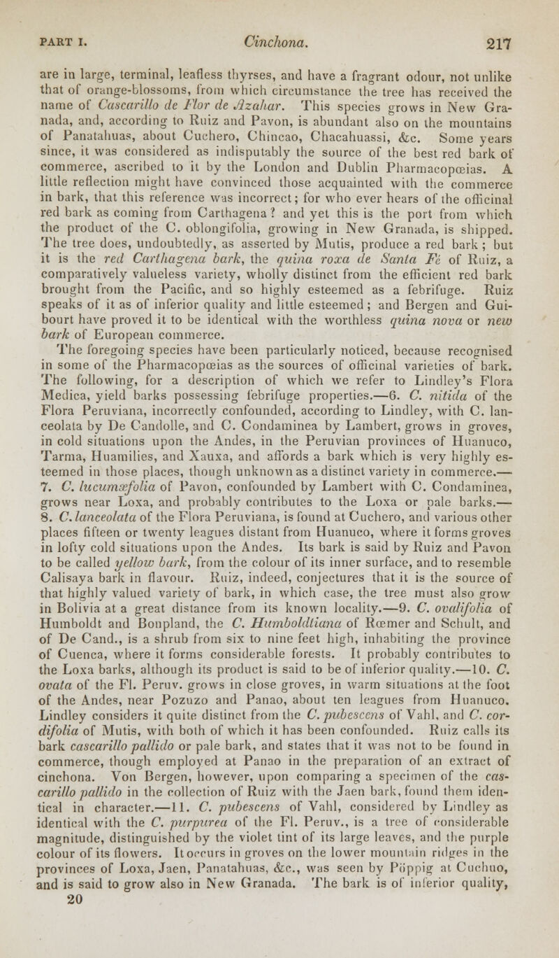 are in large, terminal, leafless thyrses, and have a fragrant odour, not unlike that of orange-blossoms, from which circumstance the tree has received the name of Cascarillo de Flor de Azahar. This species grows in New Gra- nada, and, according to Ruiz and Pavon, is abundant also on the mountains of Panatahuas, about Cuchero, Chincao, Chacahuassi, &c. Some years since, it was considered as indisputably the source of the best red bark of commerce, ascribed to it by the London and Dublin Pharmacopoeias. A little reflection might have convinced those acquainted with the commerce in bark, that this reference was incorrect; for who ever hears of the officinal red bark as coming from Carthagena? and yet this is the port from which the product of the C. oblongifolia, growing in New Granada, is shipped. The tree does, undoubtedly, as asserted by Mutis, produce a red bark; but it is the red Carthagena bark, the quina roxa de Santa Ft of Ruiz, a comparatively valueless variety, wholly distinct from the efficient red bark brought from the Pacific, and so highly esteemed as a febrifuge. Ruiz speaks of it as of inferior quality and little esteemed ; and Bergen and Gui- bourt have proved it to be identical with the worthless quina nova or new bark of European commerce. The foregoing species have been particularly noticed, because recognised in some of the Pharmacopoeias as the sources of officinal varieties of bark. The following, for a description of which we refer to Lindley's Flora Medica, yield barks possessing febrifuge properties.—6. C. nitida of the Flora Peruviana, incorrectly confounded, according to Lindley, with C. lan- ceolata by De Candolle, and C. Condaminea by Lambert, grows in groves, in cold situations upon the Andes, in the Peruvian provinces of Huanuco, Tarma, Huamilies, and Xauxa, and affords a bark which is very highly es- teemed in those places, though unknown as a distinct variety in commerce.— 7. C. hccumtffolia of Pavon, confounded by Lambert with C. Condaminea, grows near Loxa, and probably contributes to the Loxa or pale barks.— 8. C. lanceolata of the Flora Peruviana, is found at Cuchero, and various other places fifteen or twenty leagues distant from Huanuco, where it forms groves in lofty cold situations upon the Andes. Its bark is said by Ruiz and Pavon to be called yellow bark, from the colour of its inner surface, and to resemble Calisaya bark in flavour. Ruiz, indeed, conjectures that it is the source of that highly valued variety of bark, in which case, the tree must also grow- in Bolivia at a great distance from its known locality.—9. C. ovalifolia of Humboldt and Bonpland, the C. Humboldliana of Roemer and Schult, and of De Cand., is a shrub from six to nine feet high, inhabiting the province of Cuenca, where it forms considerable forests. It probably contributes to the Loxa barks, although its product is said to be of inferior quality.—10. C. ovata of the Fl. Peruv. grows in close groves, in warm situations at the foot of the Andes, near Pozuzo and Panao, about ten leagues from Huanuco. Lindley considers it quite distinct from the C. pnbesccns of Vahl, and C. cor- difolia of Mutis, with both of which it has been confounded. Ruiz calls its bark cascarillo pallido or pale bark, and states that it was not to be found in commerce, though employed at Panao in the preparation of an extract of cinchona. Von Bergen, however, upon comparing a specimen of the cas- carillo pallido in the collection of Ruiz with the Jaen bark, found them iden- tical in character.—11. C. pubescens of Vahl, considered by Lindley as identical with the C. purpurea of the Fl. Peruv., is a tree of considerable magnitude, distinguished by the violet tint of its large leaves, and the purple colour of its flowers. It occurs in groves on the lower mountain ridges in the provinces of Loxa, Jaen, Panatahuas, &c, was seen by Piippig at Cuchuo, and is said to grow also in New Granada. The bark is of inferior quality, 20