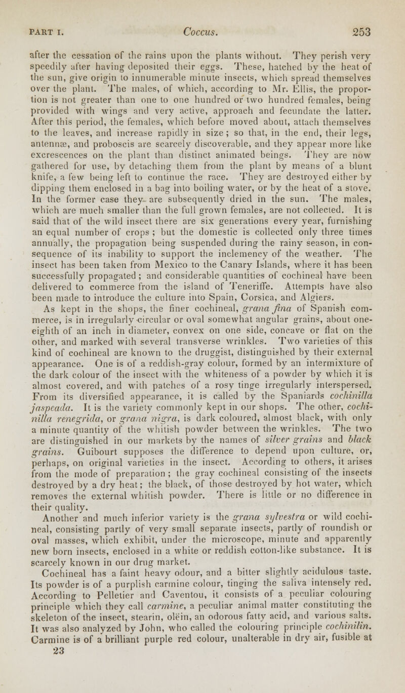 after the cessation of the rains upon the plants without. They perish very speedily after having deposited their eggs. These, hatched hy the heat of the sun, give origin to innumerable minute insects, which spread themselves over the plant. The males, of which, according to Mr. Ellis, the propor- tion is not greater than one to one hundred or two hundred females, being provided with wings and very active, approach and fecundate the latter. After this period, the females, which before moved about, attach themselves to the leaves, and increase rapidly in size; so that, in the end, their legs, antennae, and proboscis are scarcely discoverable, and they appear more like excrescences on the plant than distinct animated beings. They are now gathered for use, by detaching them from the plant by means of a blunt knife, a few being left to continue the race. They are destroyed either by dipping them enclosed in a bag into boiling water, or by the heat of a stove. In the former case they- are subsequently dried in the sun. The males, which are much smaller than the full grown females, are not collected. It is said that of the wild insect there are six generations every year, furnishing an equal number of crops ; but the domestic is collected only three times annually, the propagation being suspended during the rainy season, in con- sequence of its inability to support the inclemency of the weather. The insect has been taken from Mexico to the Canary Islands, where it has been successfully propagated ; and considerable quantities of cochineal have been delivered to commerce from the island of Teneriffe. Attempts have also been made to introduce the culture into Spain, Corsica, and Algiers. As kept in the shops, the finer cochineal, grana fina of Spanish com- merce, is in irregularly circular or oval somewhat angular grains, about one- eighth of an inch in diameter, convex on one side, concave or flat on the other, and marked with several transverse wrinkles. Two varieties of this kind of cochineal are known to the druggist, distinguished by their external appearance. One is of a reddish-gray colour, formed by an intermixture of the dark colour of the insect with the whiteness of a powder by which it is almost covered, and with patches of a rosy tinge irregularly interspersed. From its diversified appearance, it is called by the Spaniards cochinilla jaspcada. It is the variety commonly kept in our shops. The other, cochi- nilla renegrida, or grana nigra, is dark coloured, almost black, with only a minute quantity of the whitish powder between the wrinkles. The two are distinguished in our markets by the names of silver grains and black grams. Guibourt supposes the difference to depend upon culture, or, perhaps, on original varieties in the insect. According to others, it arises from the mode of preparation ; the gray cochineal consisting of the insects destroyed by a dry heat; the black, of those destroyed by hot water, which removes the external whitish powder. There is little or no difference in their quality. Another and much inferior variety is the grana sylvestra or wild cochi- neal, consisting partly of very small separate insects, partly of roundish or oval masses, which exhibit, under the microscope, minute and apparently new born insects, enclosed in a white or reddish cotton-like substance. It is scarcely known in our drug market. Cochineal has a faint heavy odour, and a bitter slightly acidulous taste. Its powder is of a purplish carmine colour, tinging the saliva intensely red. According to Pelletier and Caventou, it consists of a peculiar colouring principle which they call carmine, a peculiar animal matter constituting the skeleton of the insect, stearin, olein, an odorous fatty acid, and various salts. It was also analyzed by John, who called the colouring principle cochinilin. Carmine is of a brilliant purple red colour, unalterable in dry air, fusible at 23