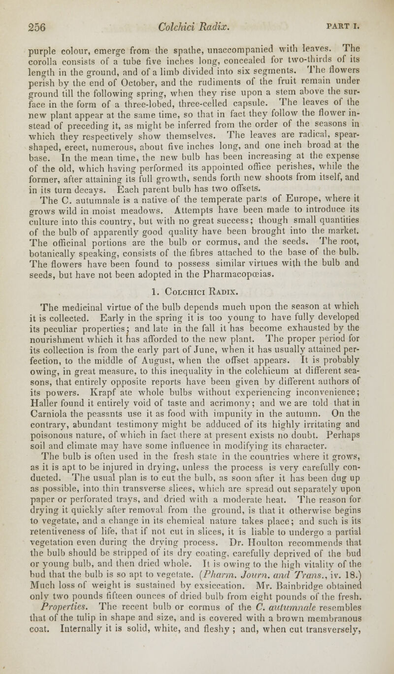 purple colour, emerge from the spathe, unaccompanied with leaves. The corolla consists of a tube five inches long, concealed for two-thirds of its length in the ground, and of a limb divided into six segments. The flowers perish by the end of October, and the rudiments of the fruit remain under ground till the following spring, when they rise upon a stem above the sur- face in the form of a three-lobed, three-celled capsule. The leaves of the new plant appear at the same time, so that in fact they follow the flower in- stead of preceding it, as might be inferred from the order of the seasons in which they respectively show themselves. The leaves are radical, spear- shaped, erect, numerous, about five inches long, and one inch broad at the base. In the mean time, the new bulb has been increasing at the expense of the old, which having performed its appointed office perishes, while the former, after attaining its full growth, sends forth new shoots from itself, and in its turn decays. Each parent bulb has two offsets. The C. autumnale is a native of the temperate parts of Europe, where it grows wild in moist meadows. Attempts have been made to introduce its culture into this country, but with no great success; though small quantities of the bulb of apparently good quality have been brought into the market. The officinal portions are the bulb or cormus, and the seeds. The root, botanically speaking, consists of the fibres attached to the base of the bulb. The flowers have been found to possess similar virtues with the bulb and seeds, but have not been adopted in the Pharmacopoeias. 1. Colchici Radix. The medicinal virtue of the bulb depends much upon the season at which it is collected. Early in the spring it is too young to have fully developed its peculiar properties; and late in the fall it has become exhausted by the nourishment which it has afforded to the new plant. The proper period for its collection is from the early part of June, when it has usually attained per- fection, to the middle of August, when the offset appears. It is probably owing, in great measure, to this inequality in the colchicum at different sea- sons, that entirely opposite reports have been given by different authors of its powers. Krapf ate whole bulbs without experiencing inconvenience; Haller found it entirely void of taste and acrimony; and we are told that in Carniola the peasants use it as food with impunity in the autumn. On the contrary, abundant testimony might be adduced of its highly irritating and poisonous nature, of which in fact there at present exists no doubt. Perhaps soil and climate may have some influence in modifying its character. The bulb is often used in the fresh state in the countries where it grows, as it is apt to be injured in drying, unless the process is very carefully con- ducted. The usual plan is to cut the bulb, as soon after it has been dug up as possible, into thin transverse slices, which are spread out separately upon paper or perforated trays, and dried with a moderate heat. The reason for drying it quickly after removal from the ground, is that it otherwise begins to vegetate, and a change in its chemical nature takes place; and such is its retentiveness of life, that if not cut in slices, it is liable to undergo a partial vegetation even during the drying process. Dr. Houlton recommends that the bulb should be stripped of its dry coating, carefully deprived of the bud or young bulb, and then dried whole. It is owing to the high vitality of the bud that the bulb is so apt to vegetate. [Pharm. Journ. and Trans., iv. 18.) Much loss of weight is sustained by exsiccation. Mr. Bainbridge obtained only two pounds fifteen ounces of dried bulb from eight pounds of the fresh. Properties. The recent bulb or cormus of the C. autumnale resembles that of the tulip in shape and size, and is covered with a brown membranous coat. Internally it is solid, white, and fleshy ; and, when cut transversely,